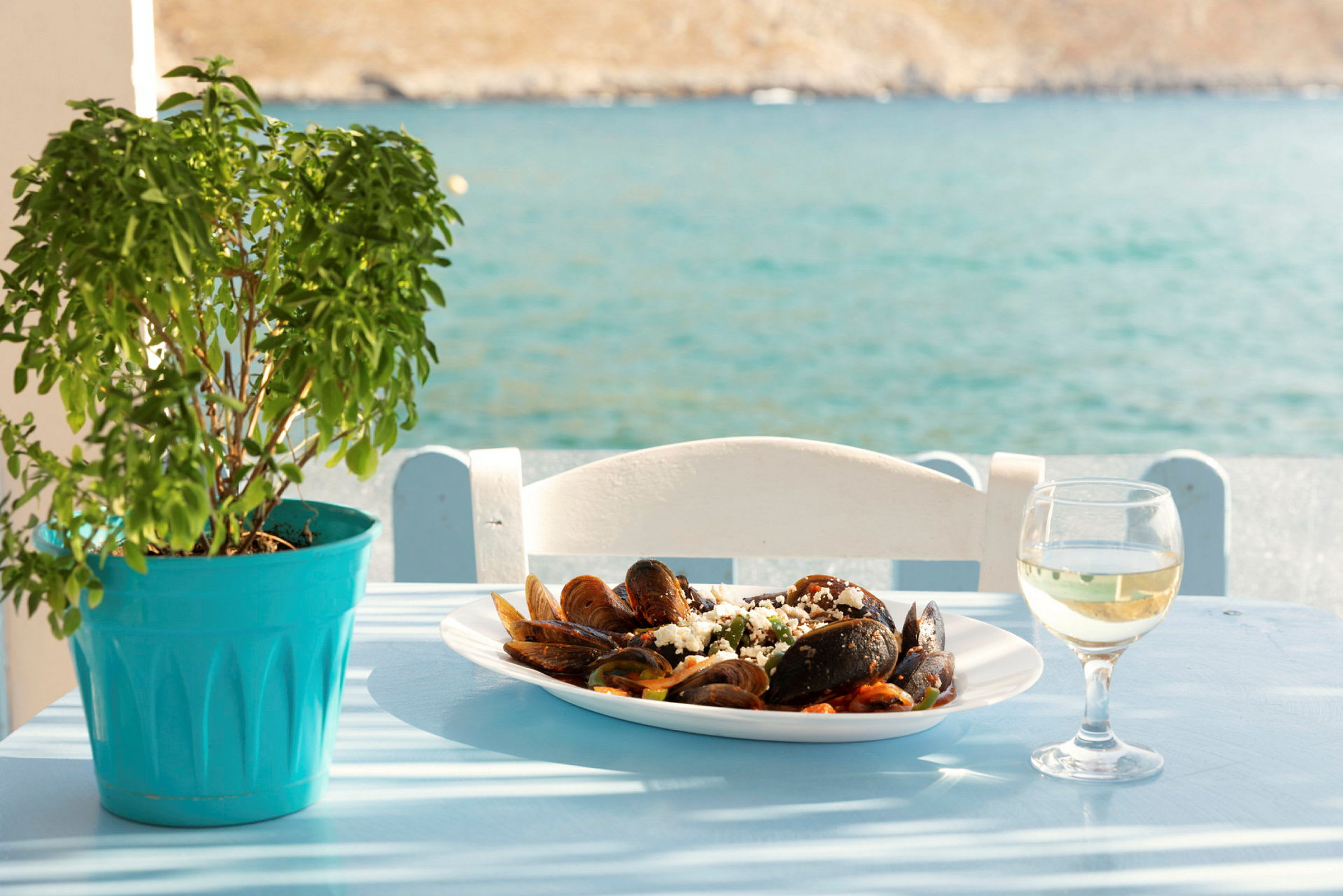 En tallerken med skaldyr og et glas hvidvin står på et bord ved siden af en grøn plante med havet i baggrunden. (AI-genereret tekst)