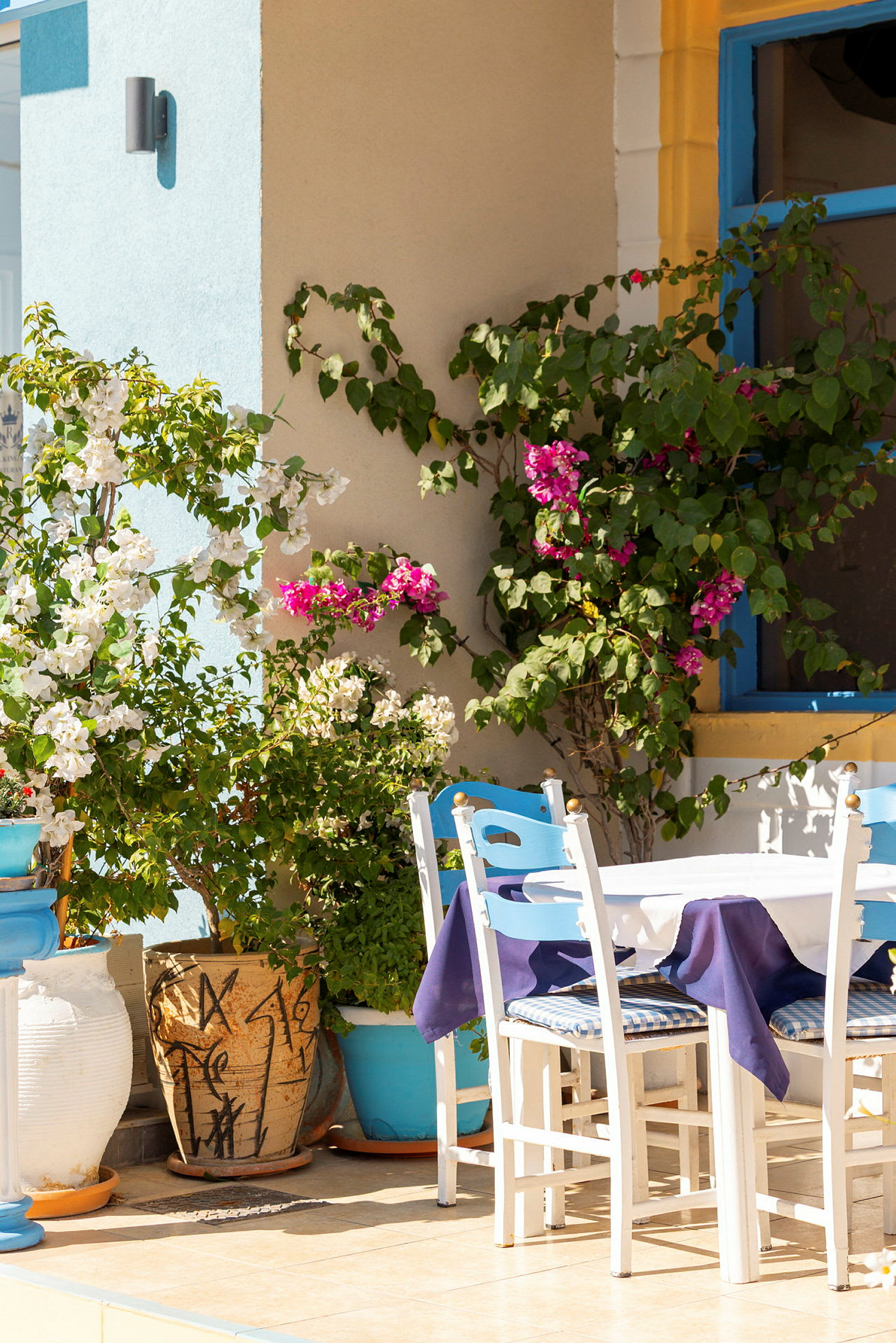 En solrig terrasse med en hvid dug draperet over et rundt bord omgivet af stole. Der er farverige planter og en blåmalet væg i baggrunden. (AI-genereret tekst)