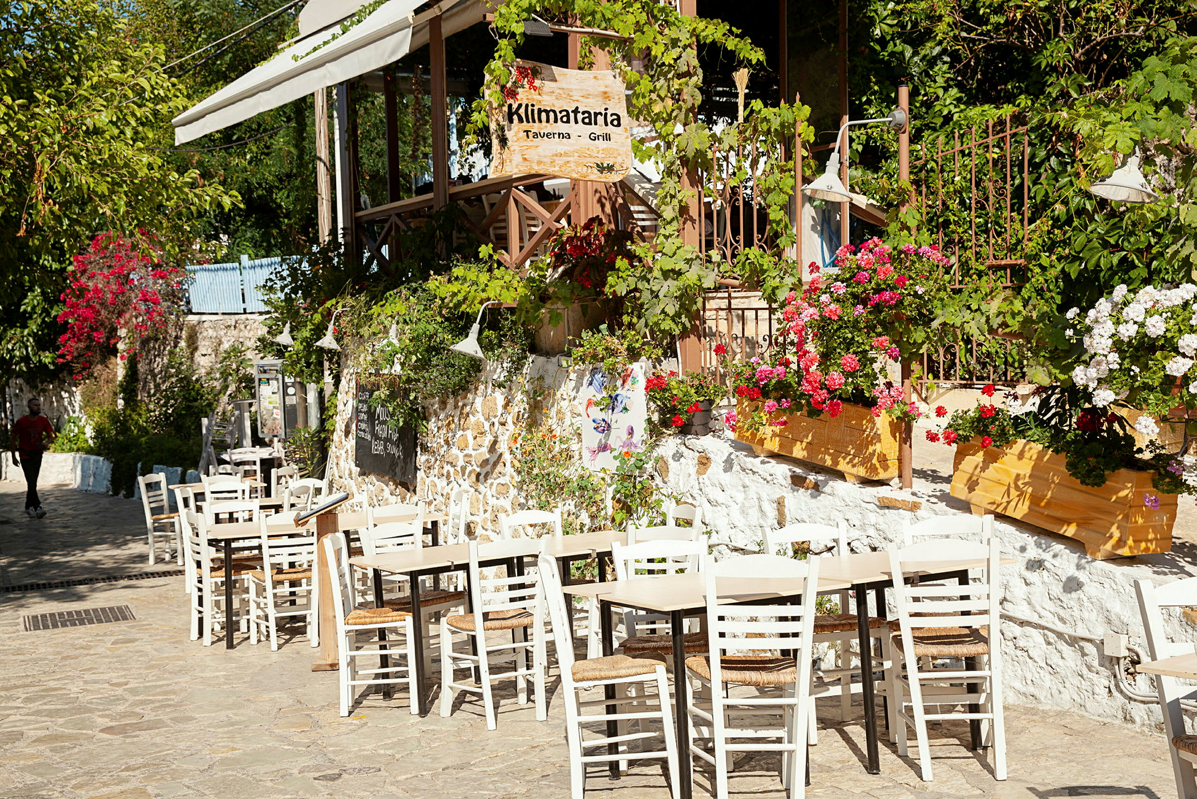 Udendørs servering ved en taverna, omgivet af blomstrende planter. (AI-genereret tekst)
