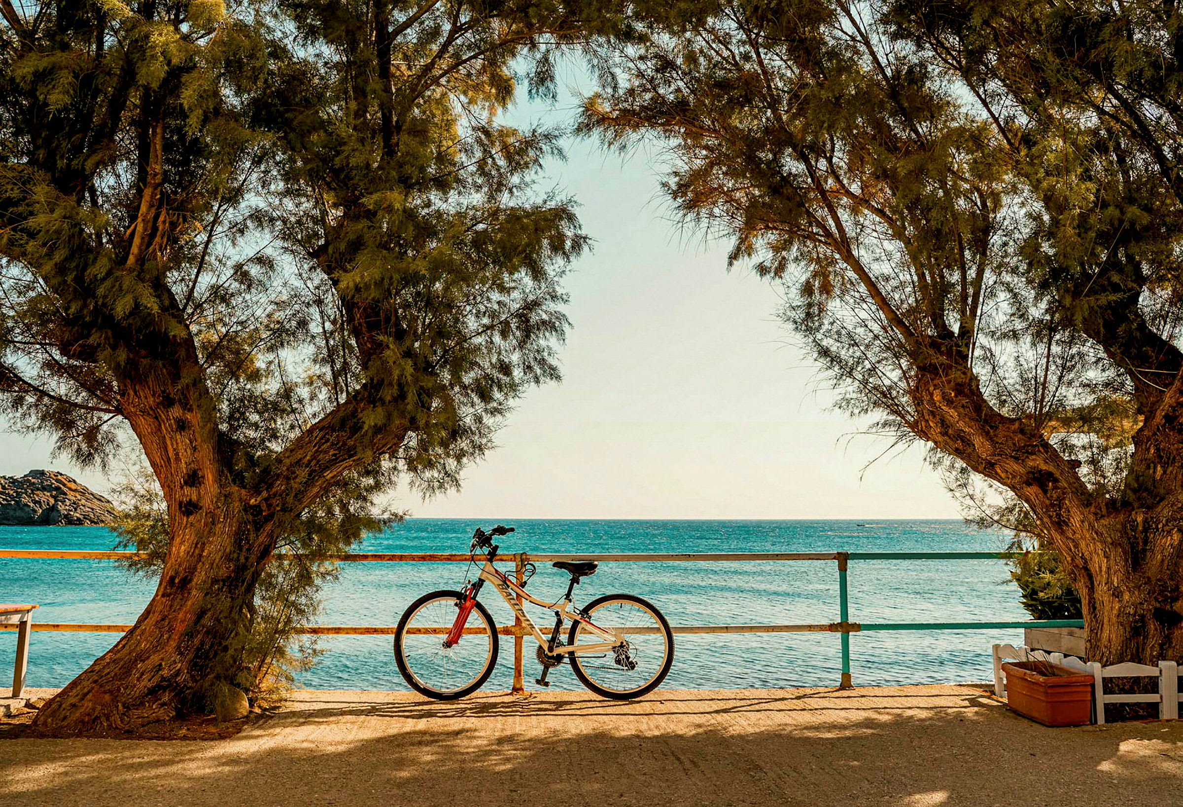 Cykel ved et hegn mellem to træer, med havet i baggrunden. (AI-genereret tekst)