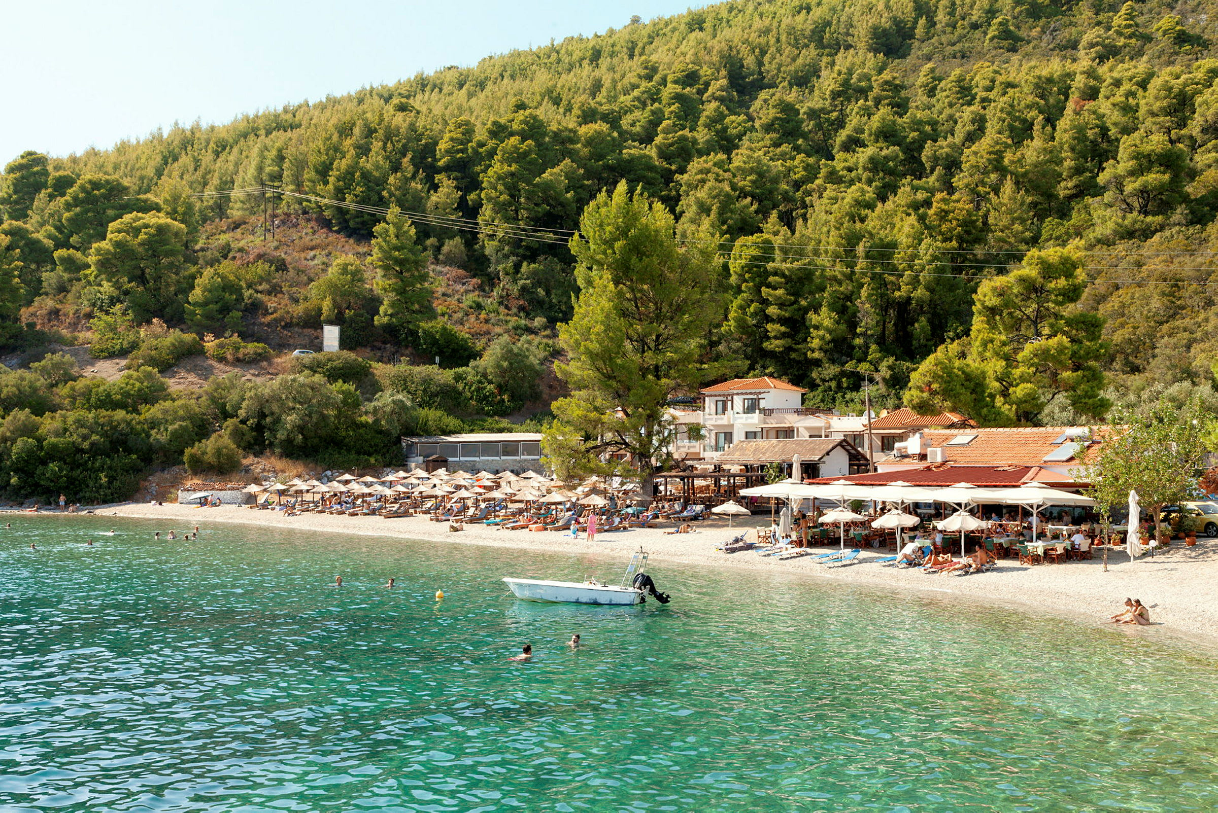 En strand med klart vand omgivet af frodige træer og med en taverna tæt på vandet. (AI-genereret tekst)