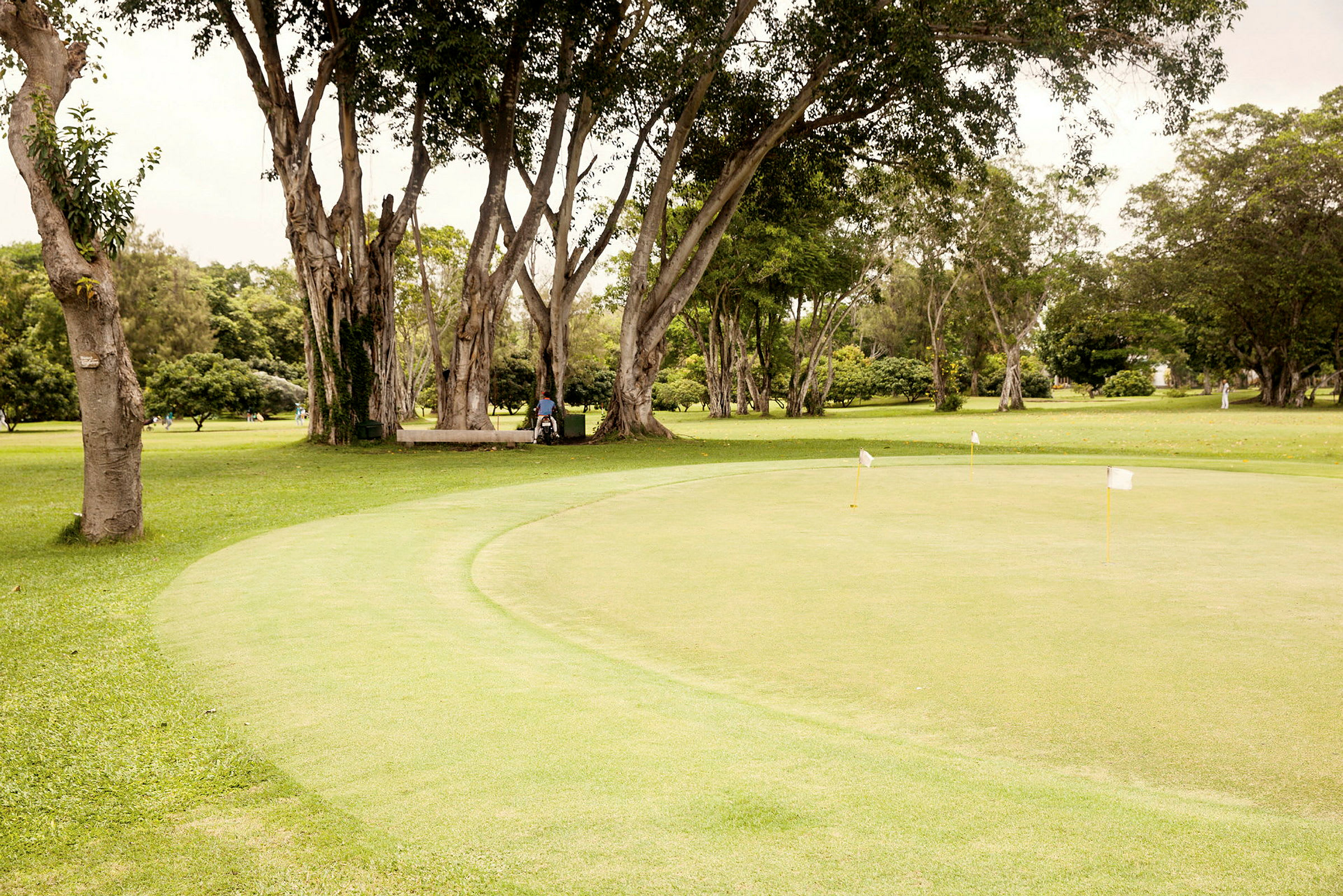 En velplejet golfgreen med flag omkranset af grønt og træer. (AI-genereret tekst)