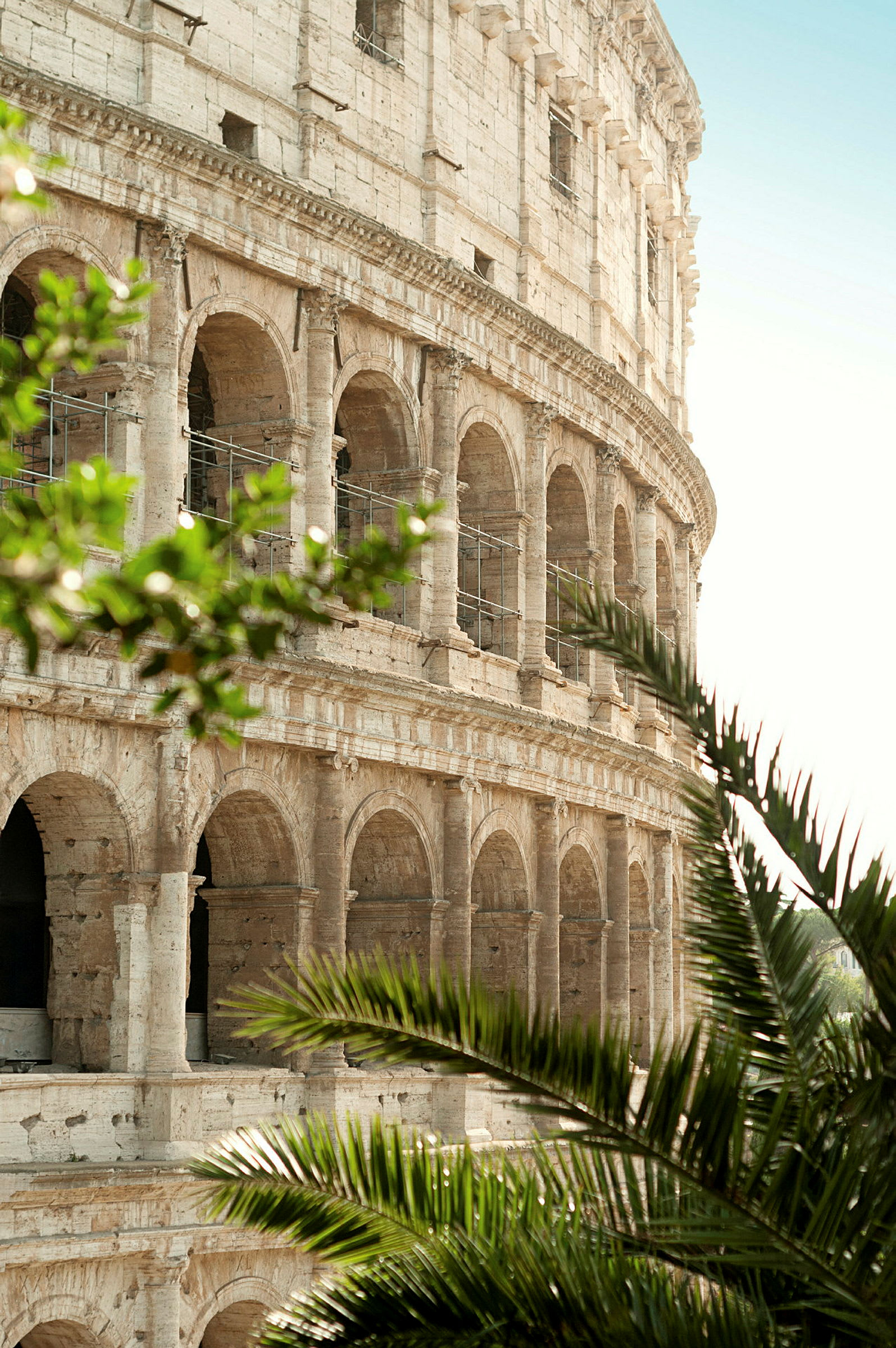 Colosseum i Rom med grønne planter i forgrunden. (AI-genereret tekst)