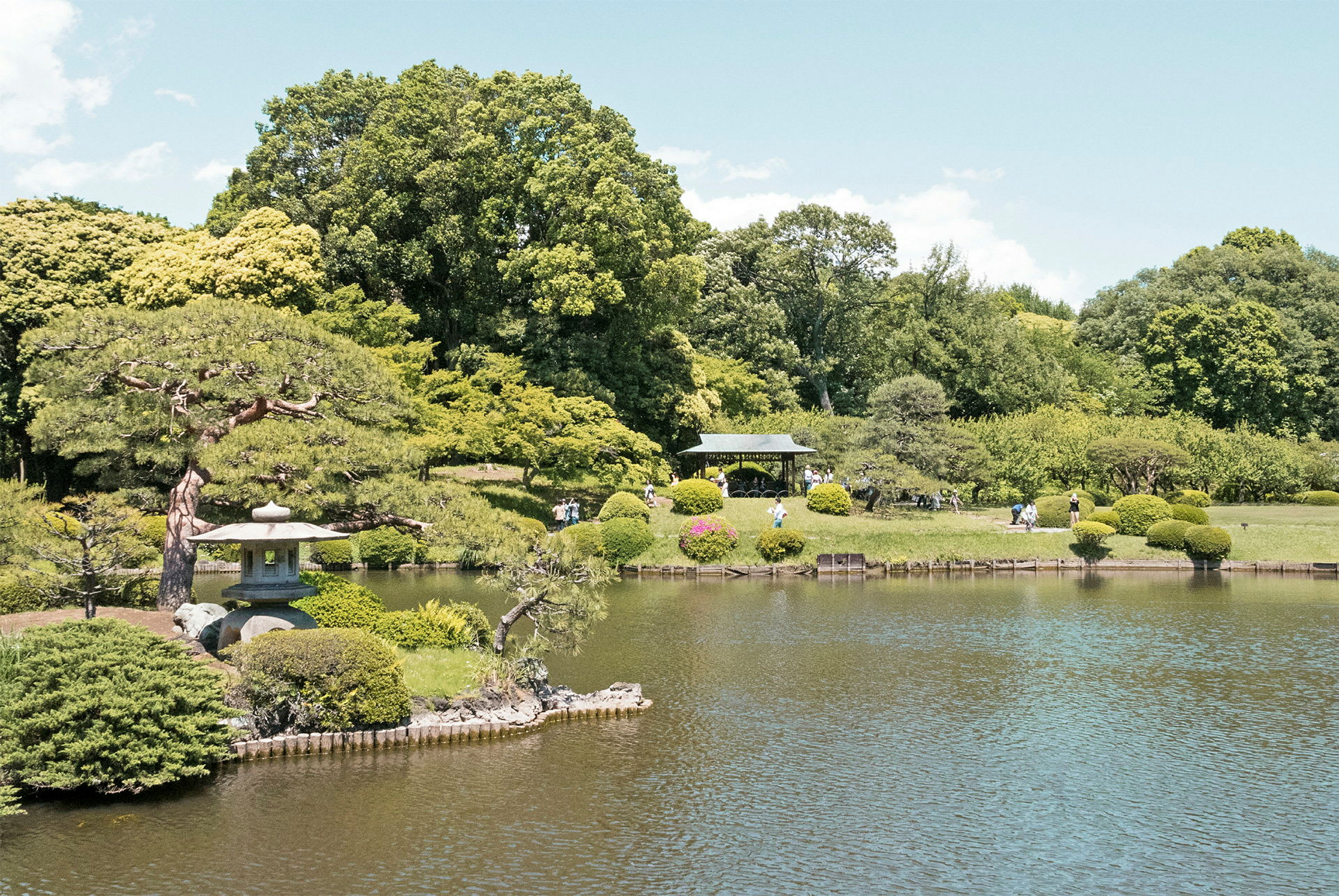 En rolig japansk have med dam og omkringliggende beplantning. (AI-genereret tekst)