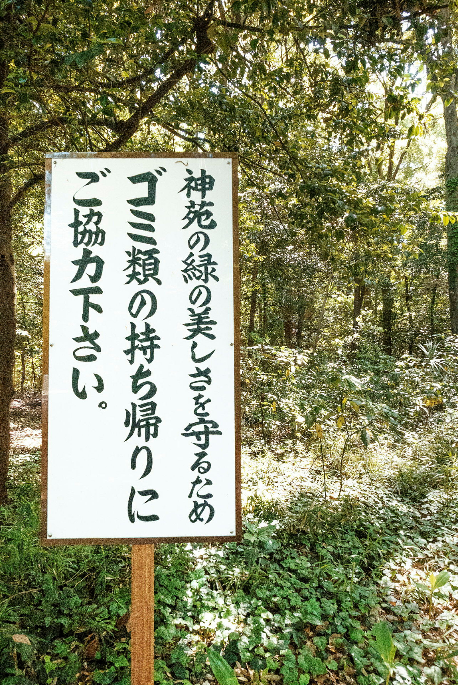 Et skilt med japansk tekst står i en grøn skov. (AI-genereret tekst)