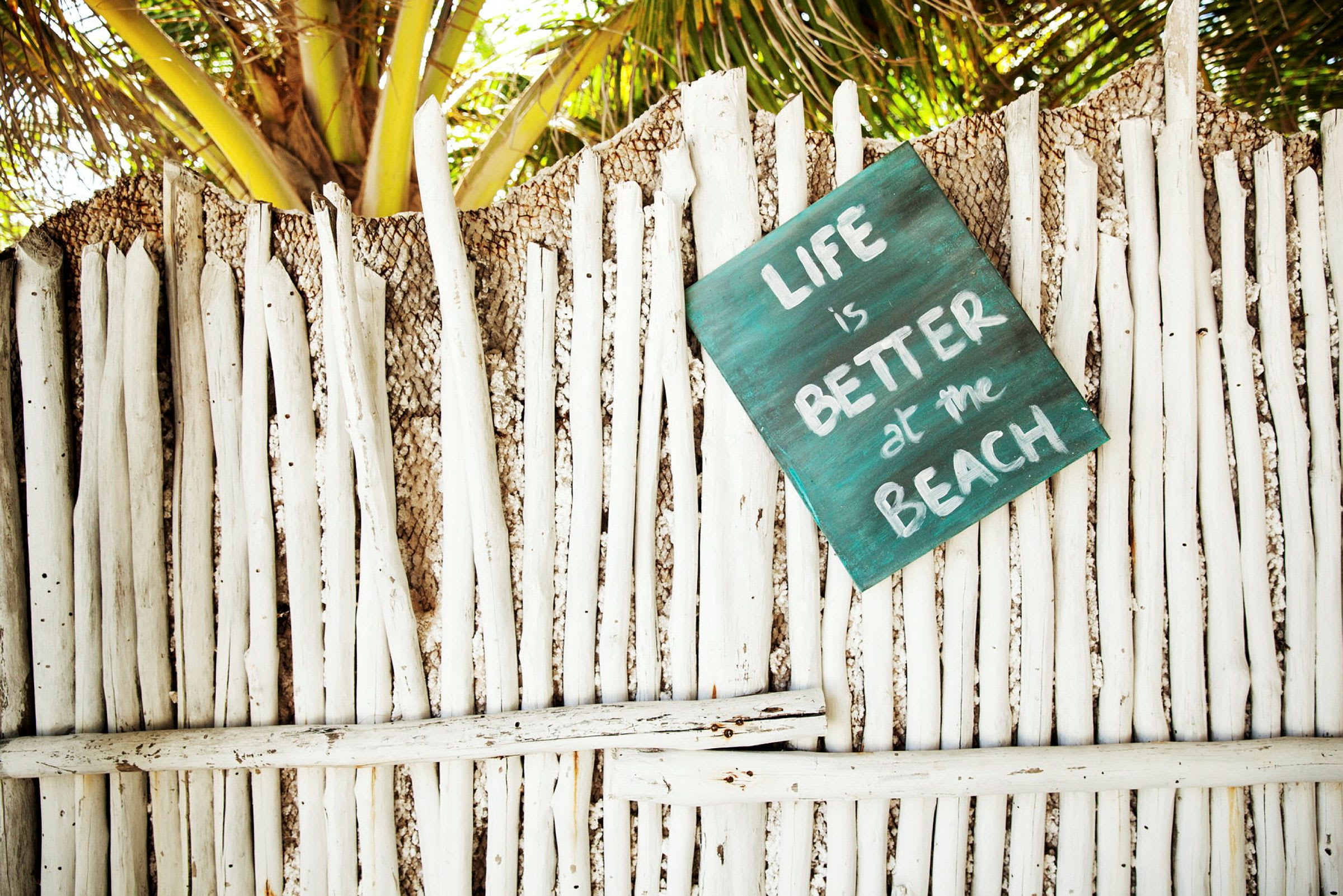 Et hegn af hvide bambuspinde med et skilt, der siger "Life is better at the Beach". Baggrunden viser palmeblade. (AI-genereret tekst)