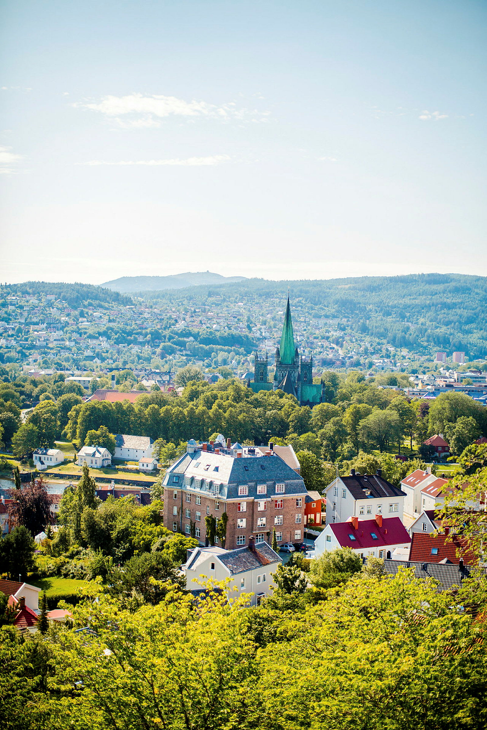 Byudsigt med en grøn domkirke, omgivet af træer og mindre bygninger. (AI-genereret tekst)