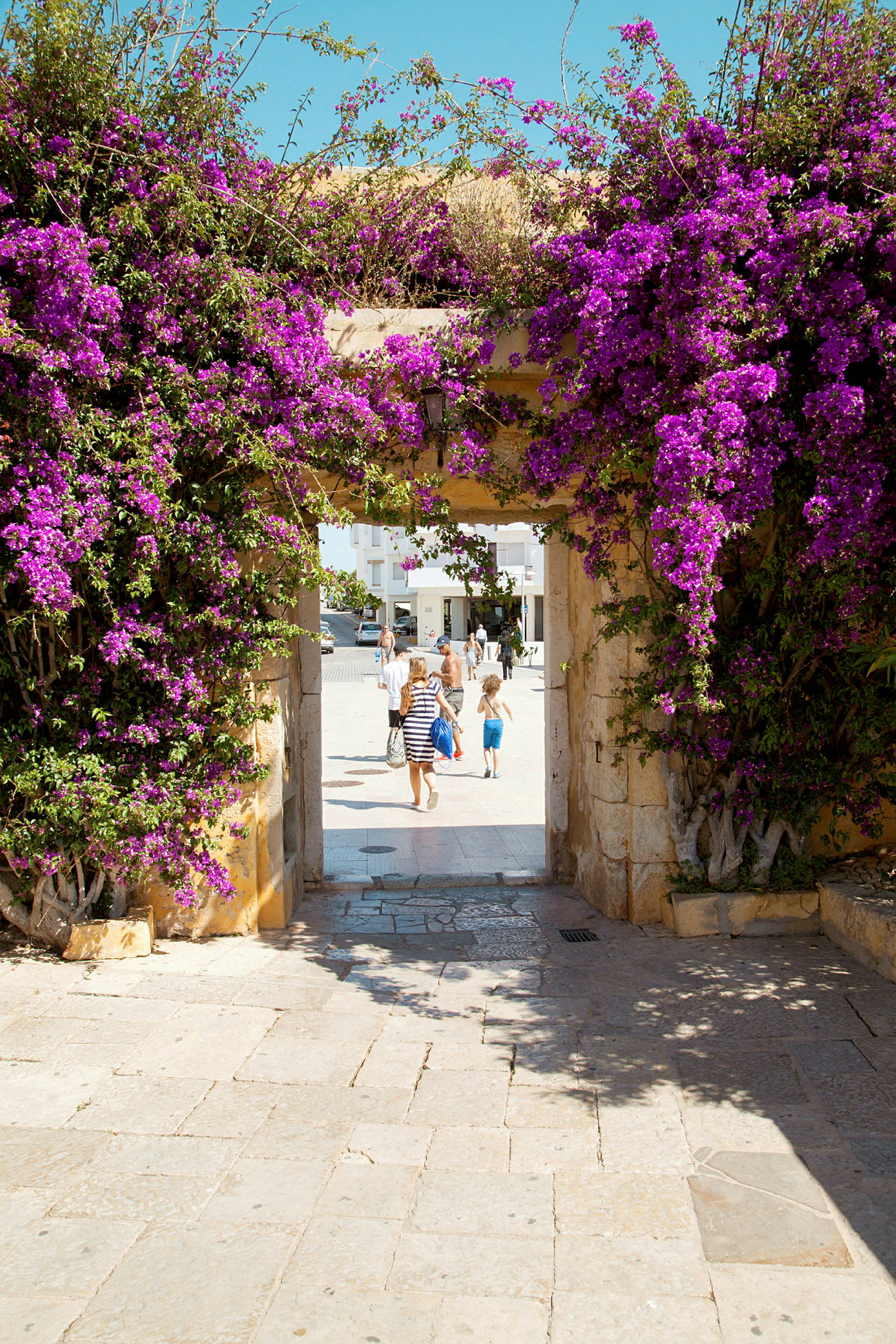 En stenbue dækket med lilla blomster, som fører til et åbent område med mennesker. (AI-genereret tekst)