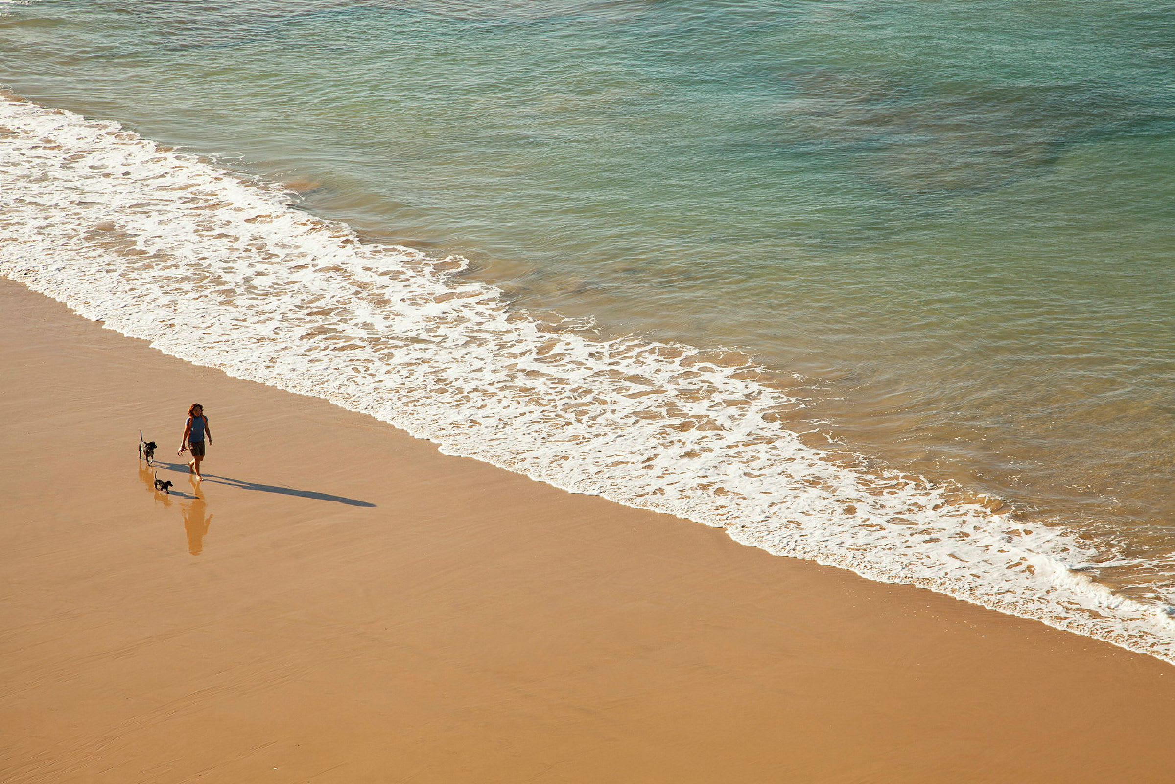 En person går med to små hunde på en sandstrand nær vandkanten. (AI-genereret tekst)