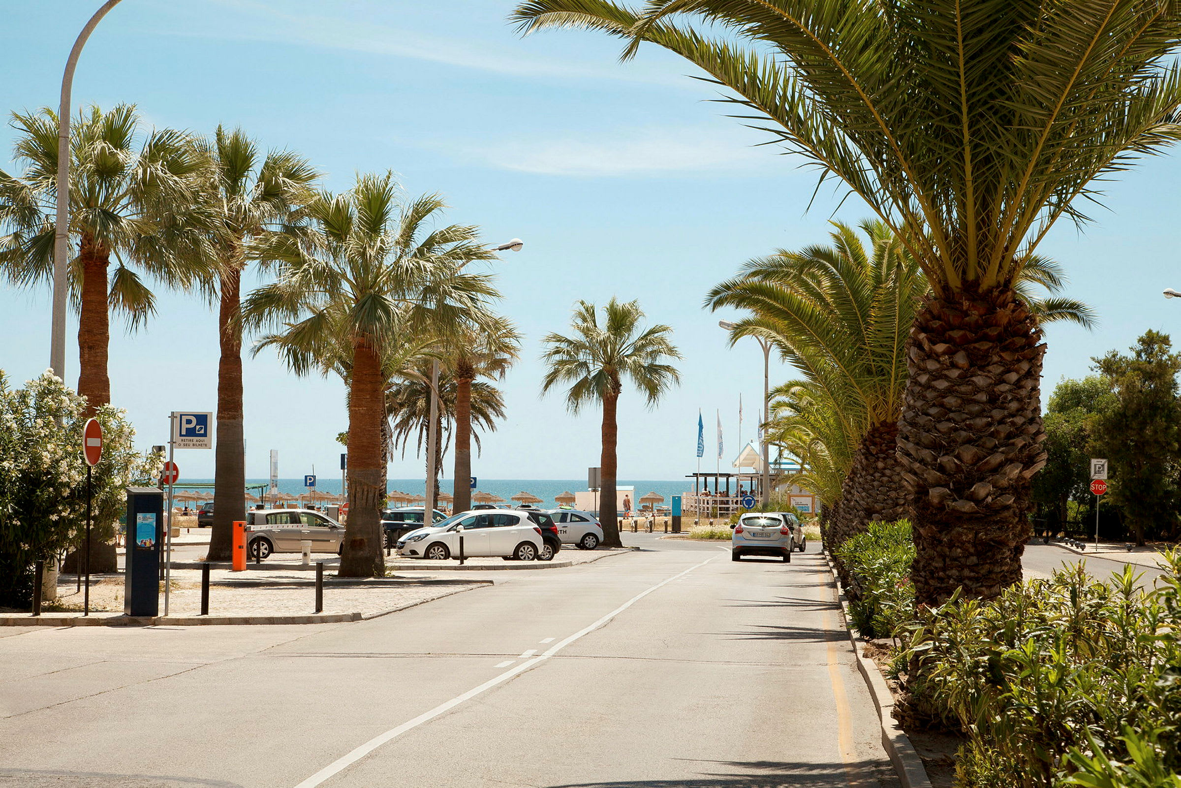 En strandpromenade med palmer og parkerede biler ved kysten. (AI-genereret tekst)