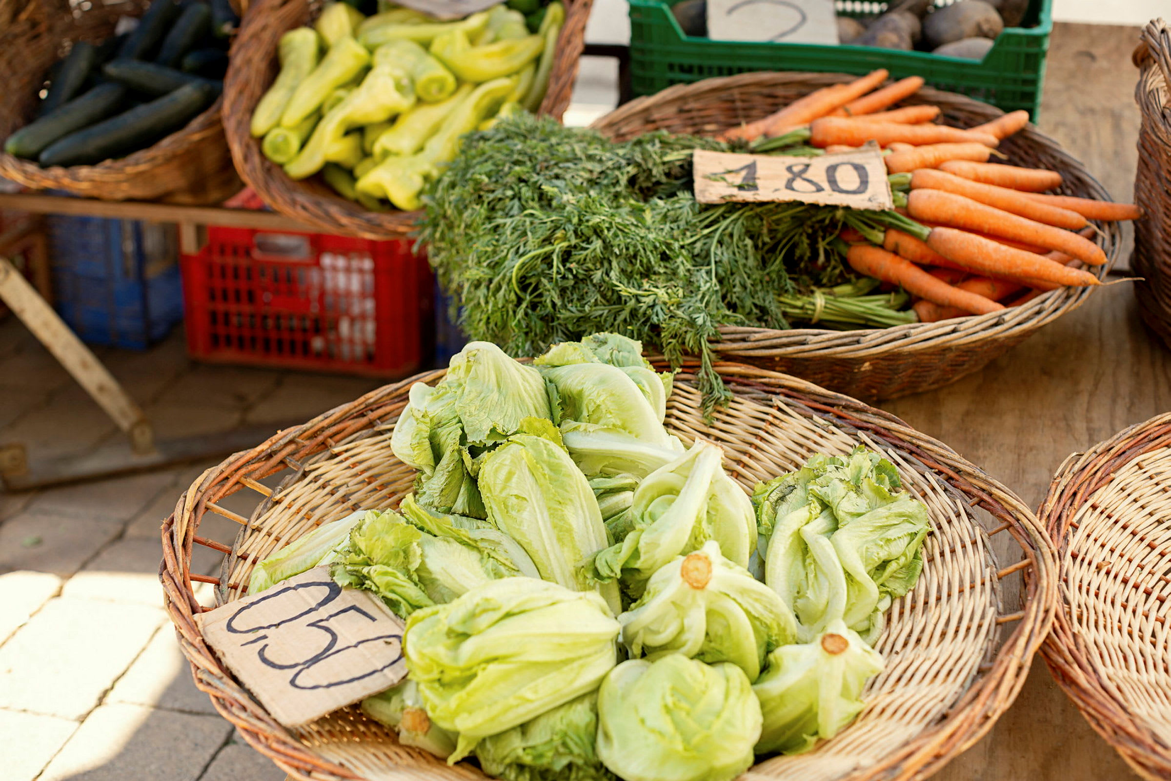 Friske grøntsager, herunder salat, gulerødder, squash og peberfrugter, vises i flettede kurve. (AI-genereret tekst)
