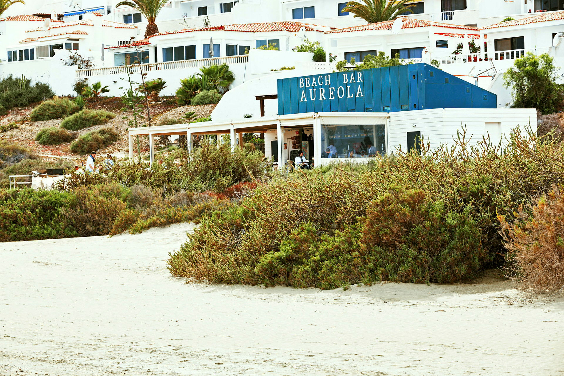 En strandbar kaldet Aureola med hvidmalede bygninger og grøn vegetation omkring, beliggende ved stranden. (AI-genereret tekst)