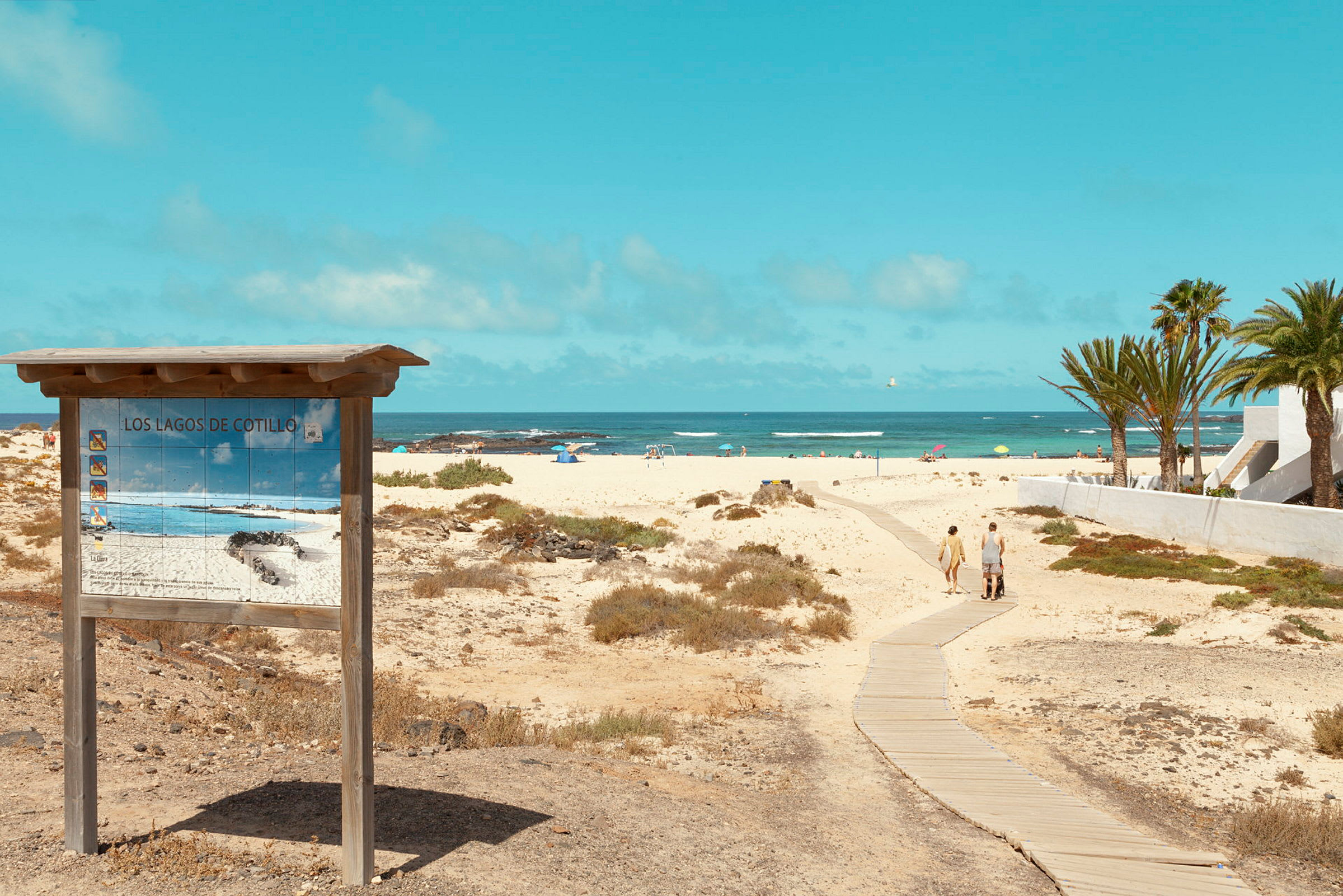 Billede af en sandstrand med et skilt for stranden Los Lagos de Cotillo i forgrunden. En gangsti fører ned til havet, omgivet af sandklitter og palmer. (AI-genereret tekst)