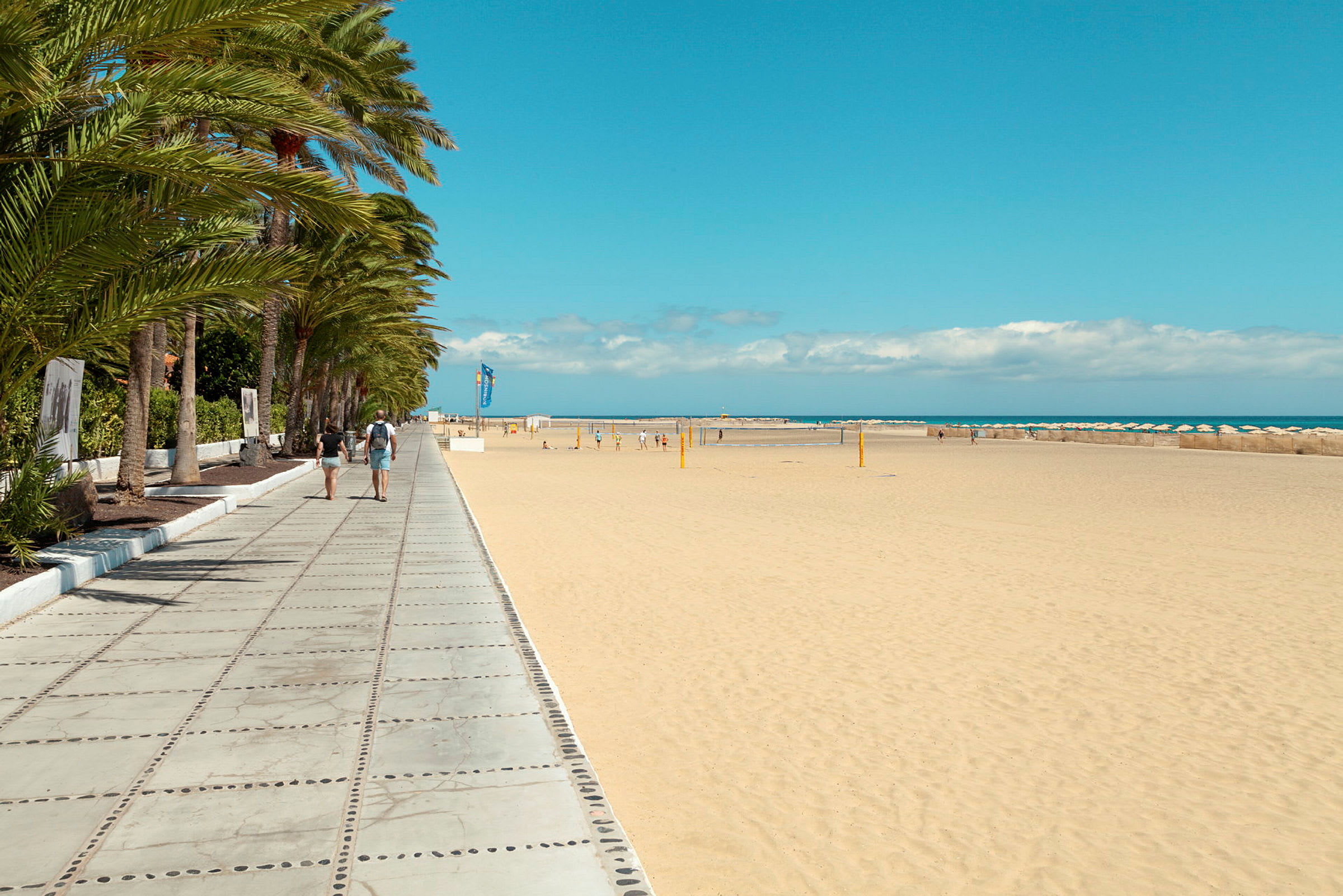 En strandpromenade med palmer til venstre og en omfattende sandstrand til højre. Himlen er klar blå. (AI-genereret tekst)