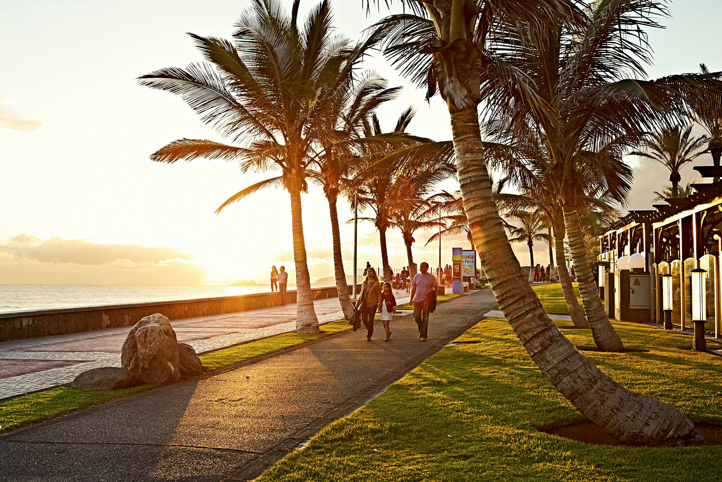 En gåtur ved stranden med palmer i solnedgangen. (AI-genereret tekst)