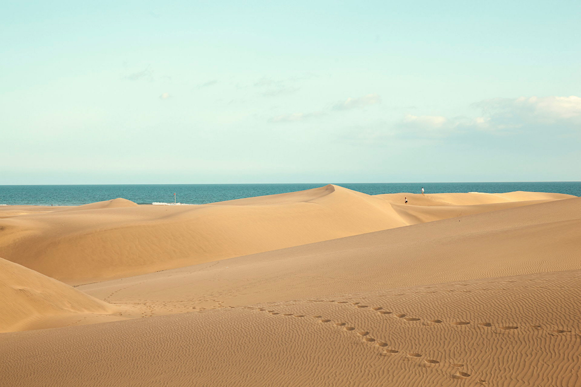 Sandklitter med havet i baggrunden og en klar himmel. (AI-genereret tekst)