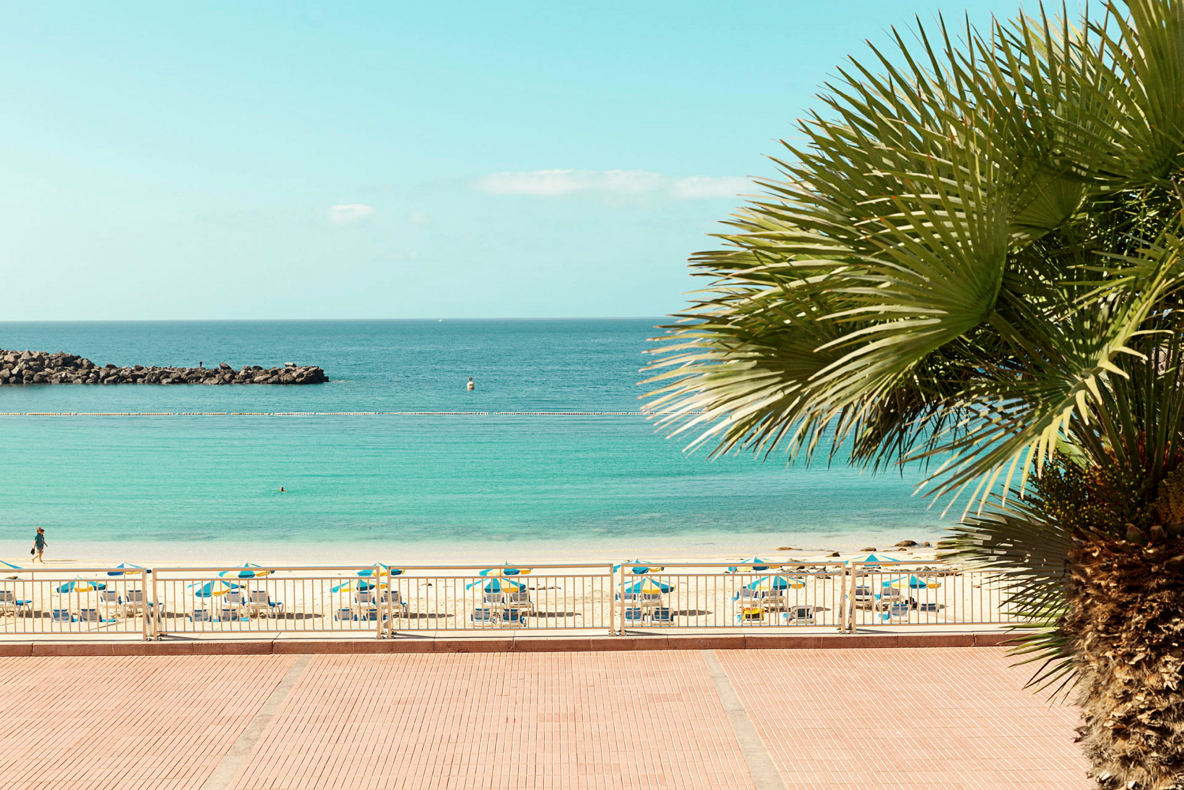 En palme ses fra en strand med parasoller og udsigt til havet. (AI-genereret tekst)
