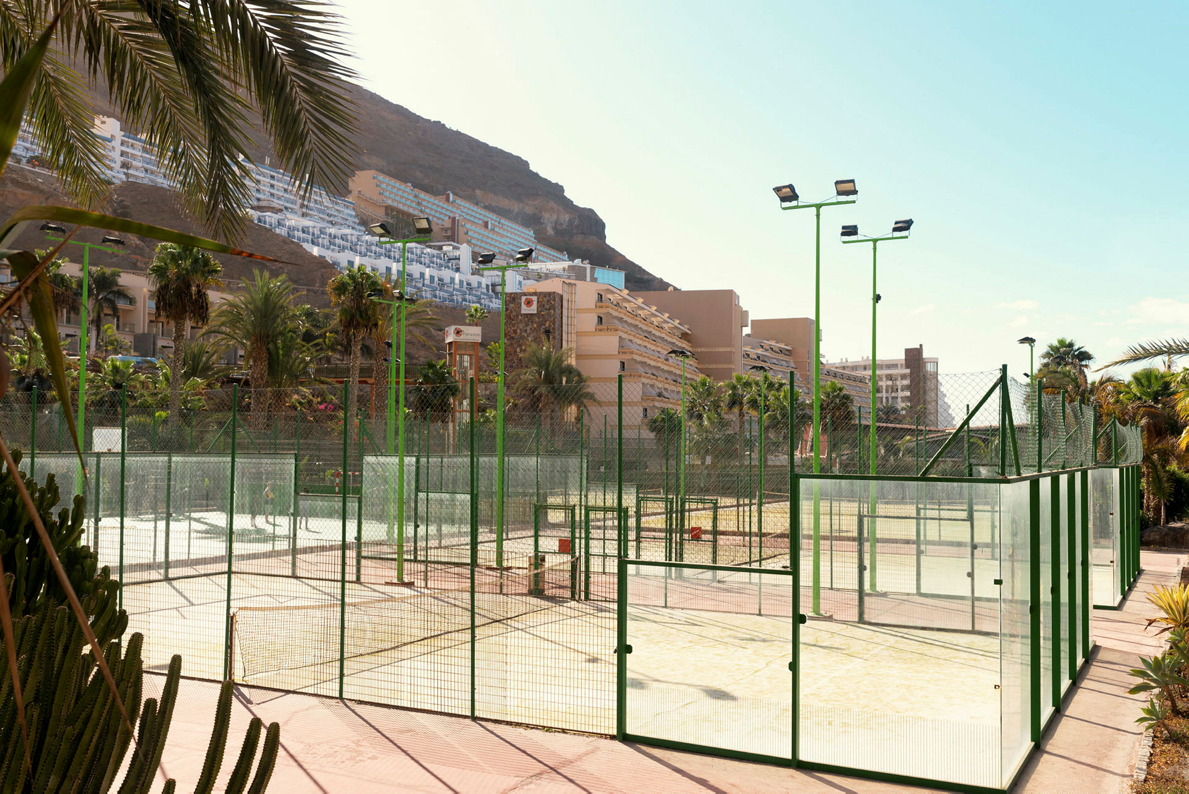 Billede af en padelbane med høje grønne net, omgivet af palmer og hotelbygninger i baggrunden. (AI-genereret tekst)