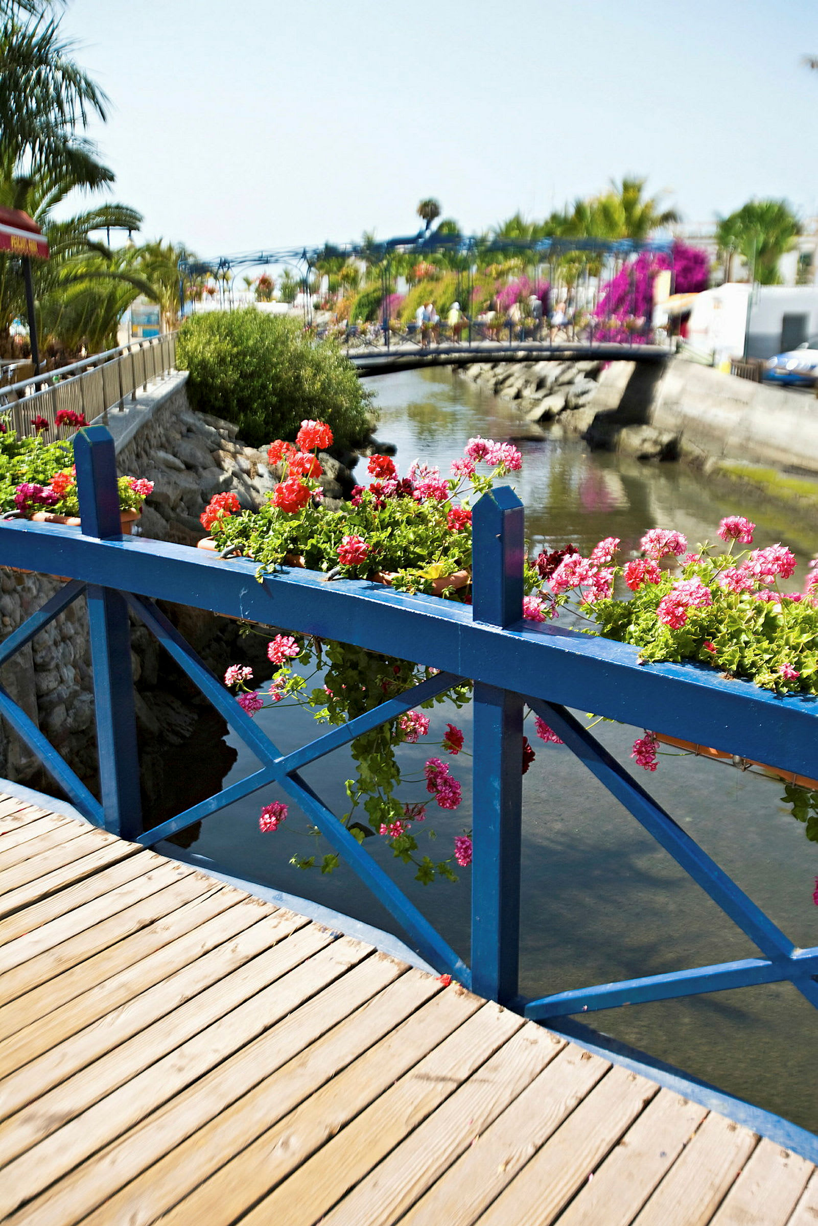 En bro med blåt rækværk dekoreret med blomsterkasser, over en lille kanal. (AI-genereret tekst)
