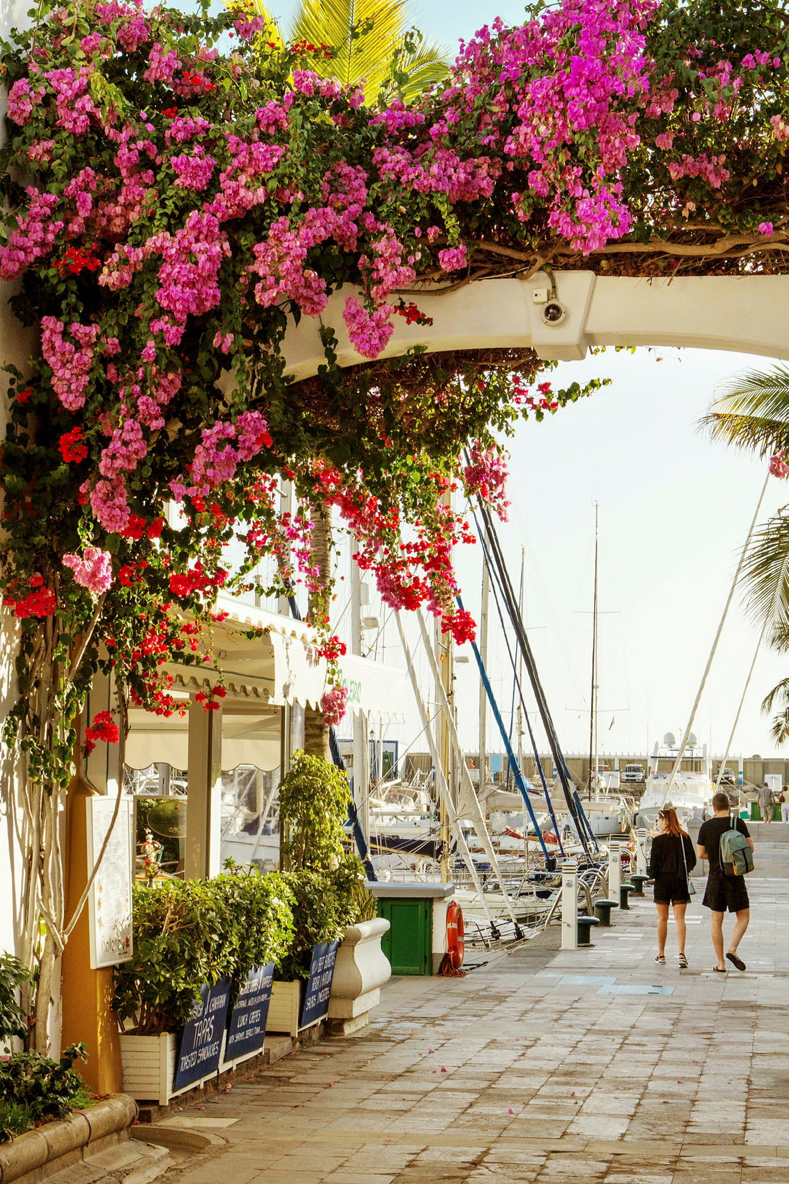 Havnepromenade med blomster og både ved kajen. (AI-genereret tekst)