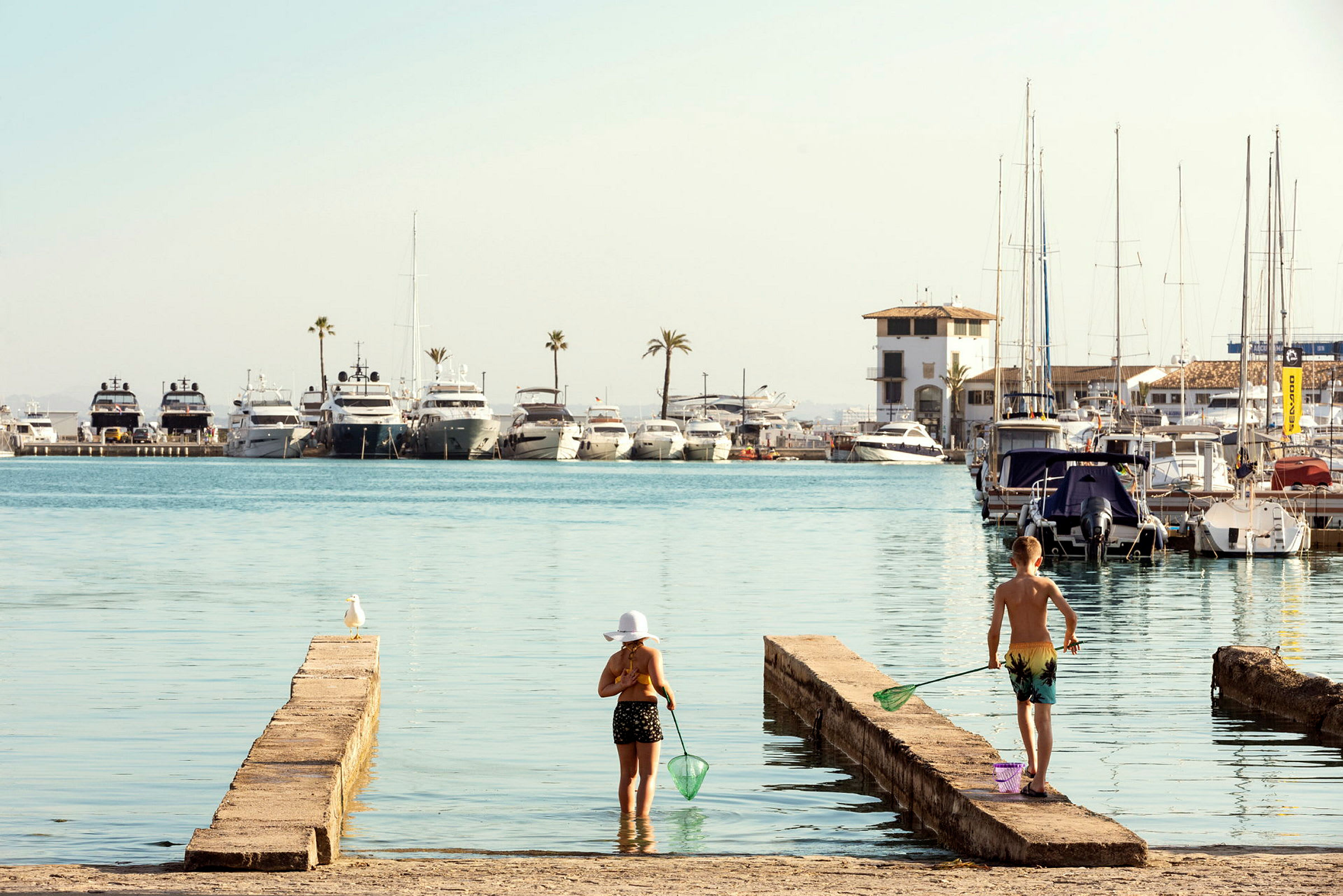 Port d'Alcudia