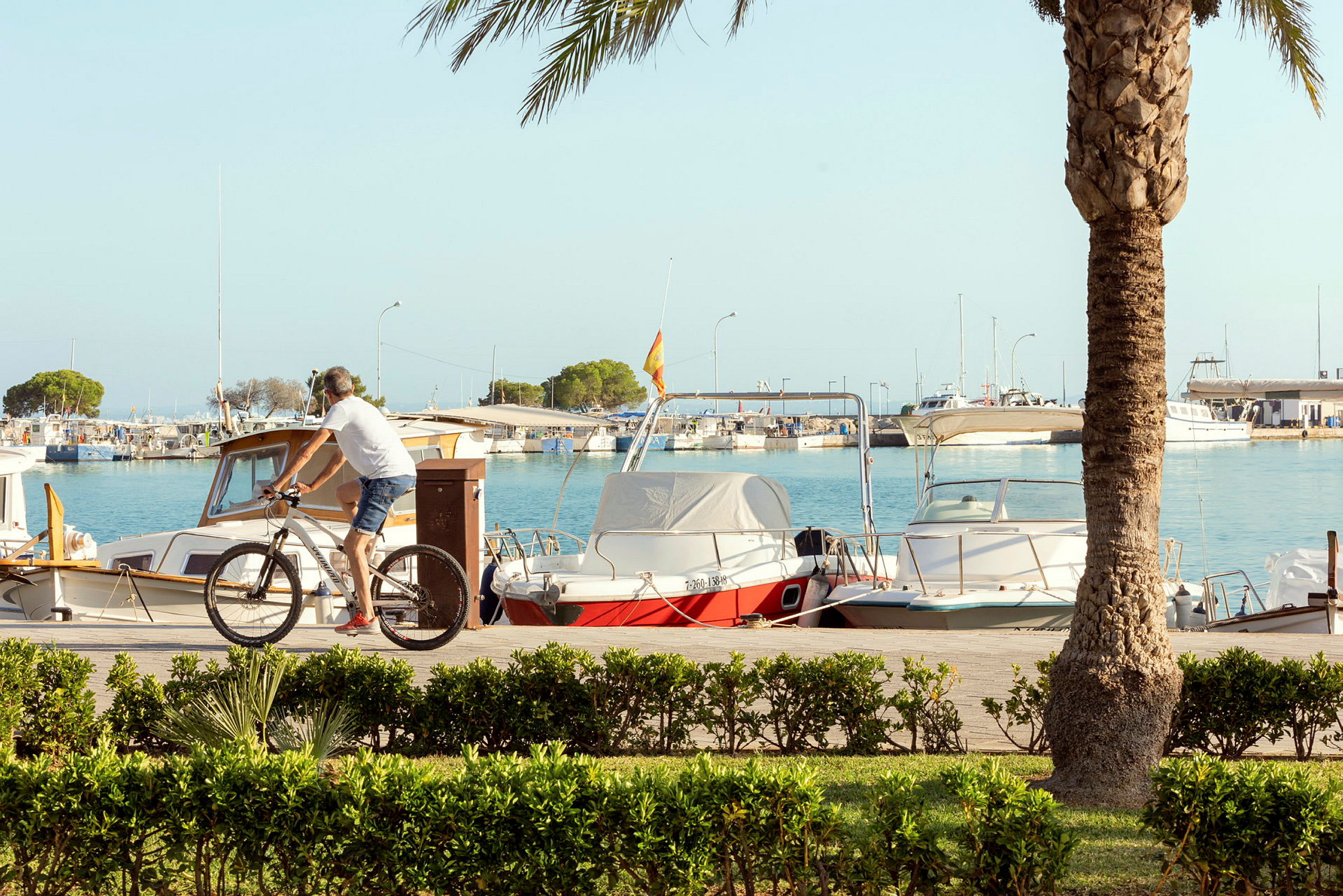 Port d'Alcudia