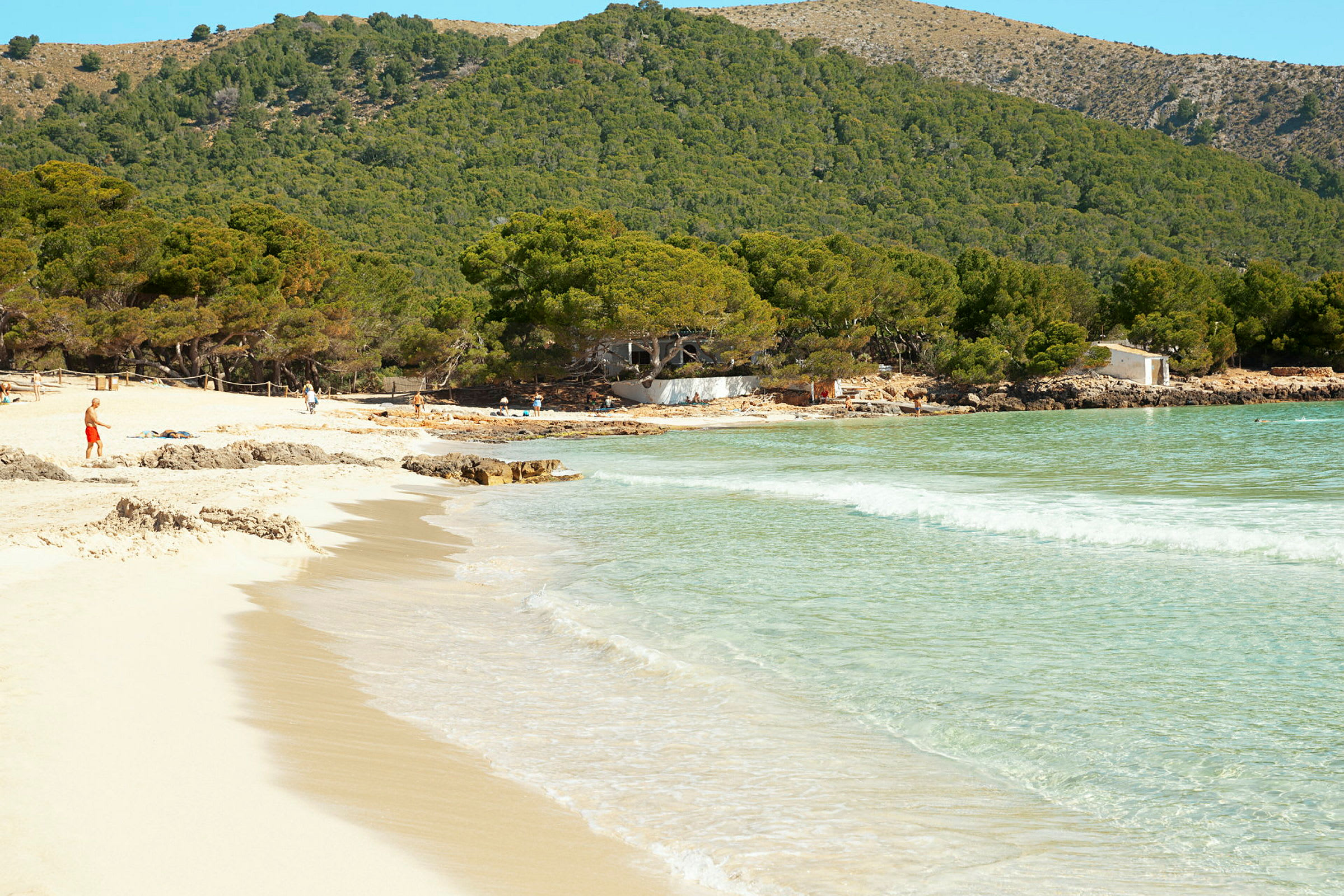 Strand med lys sand, klart vand og grønne træer i baggrunden. (AI-genereret tekst)