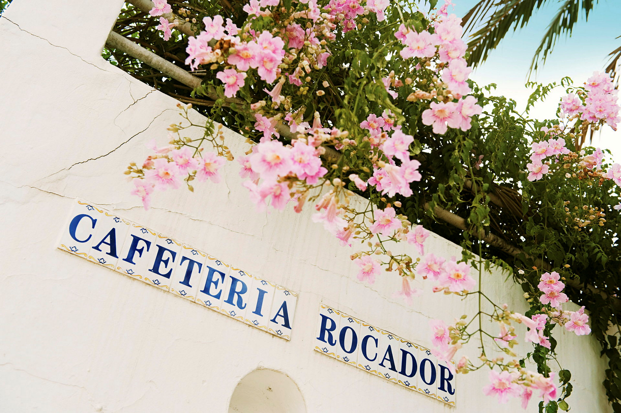 Væg med skilte, der viser teksten 'CAFETERIA ROCADOR', dekoreret med hængende pink blomster. (AI-genereret tekst)