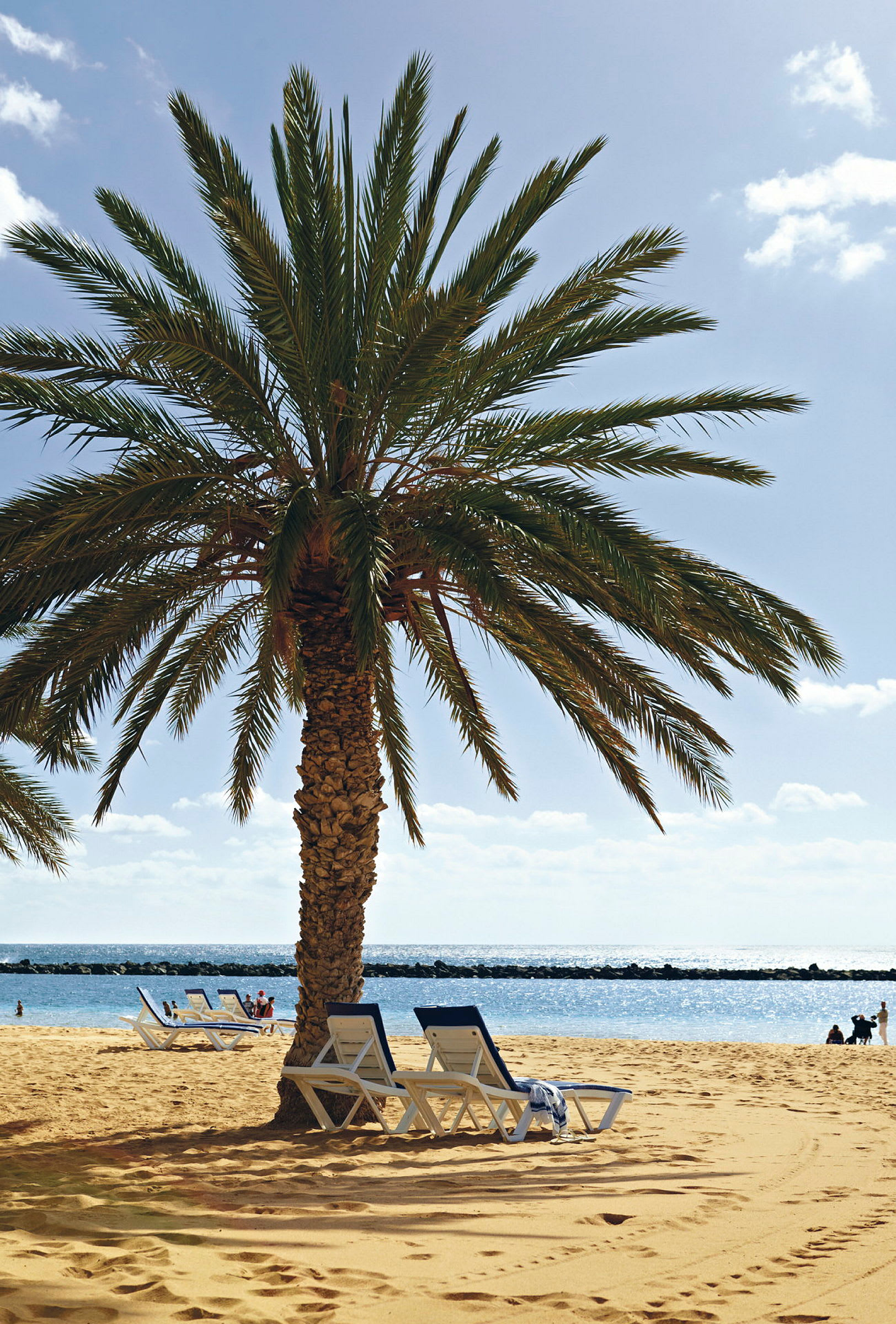 Palme på sandstrand med solsenge og hav i baggrunden. (AI-genereret tekst)
