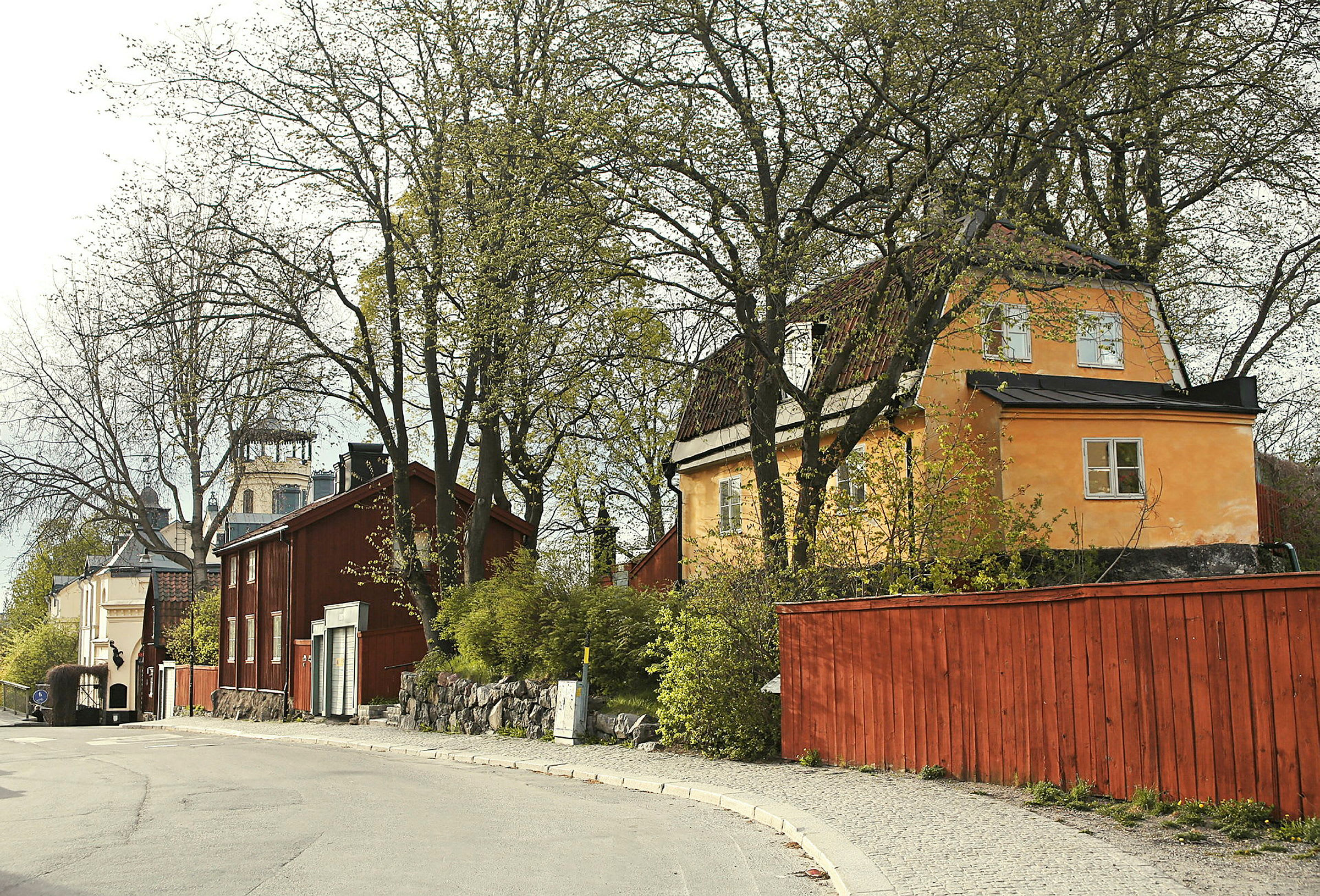 En landevej, der fører forbi træhuse, med træer og buske omkring. (AI-genereret tekst)