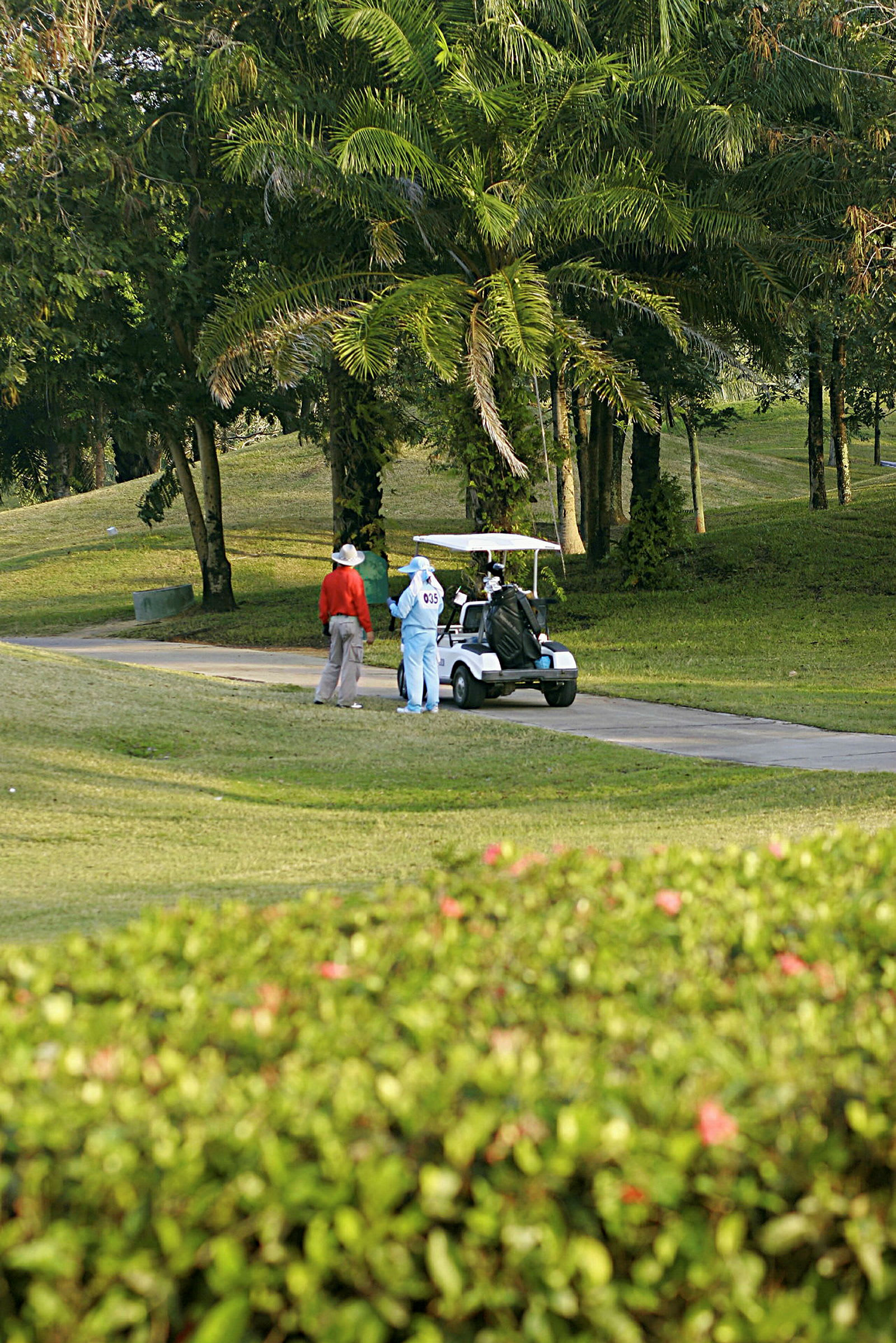 To personer står ved en golfbil på en golfbane med træer i baggrunden. (AI-genereret tekst)