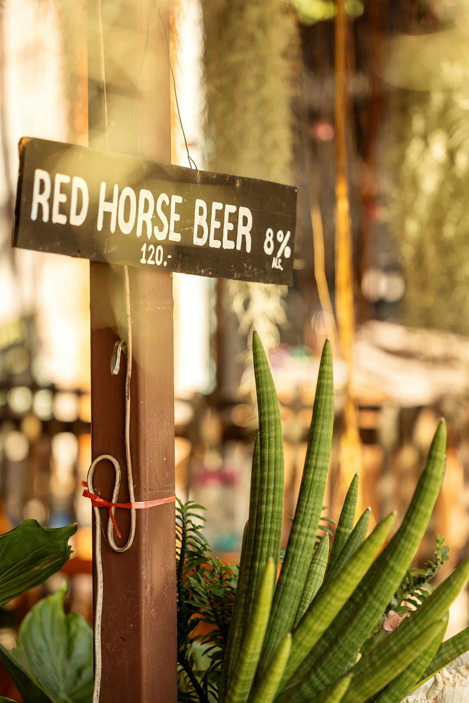 Et træskilt med teksten 'Red Horse Beer 8% Alc. 120' er monteret på en stolpe, omgivet af planter. (AI-genereret tekst)