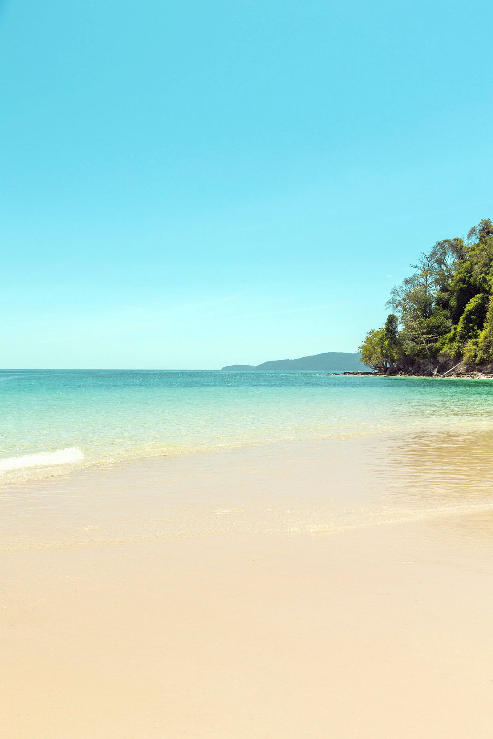 Billede af en strand med klart vand, frodig vegetation langs kysten og en blå himmel. (AI-genereret tekst)