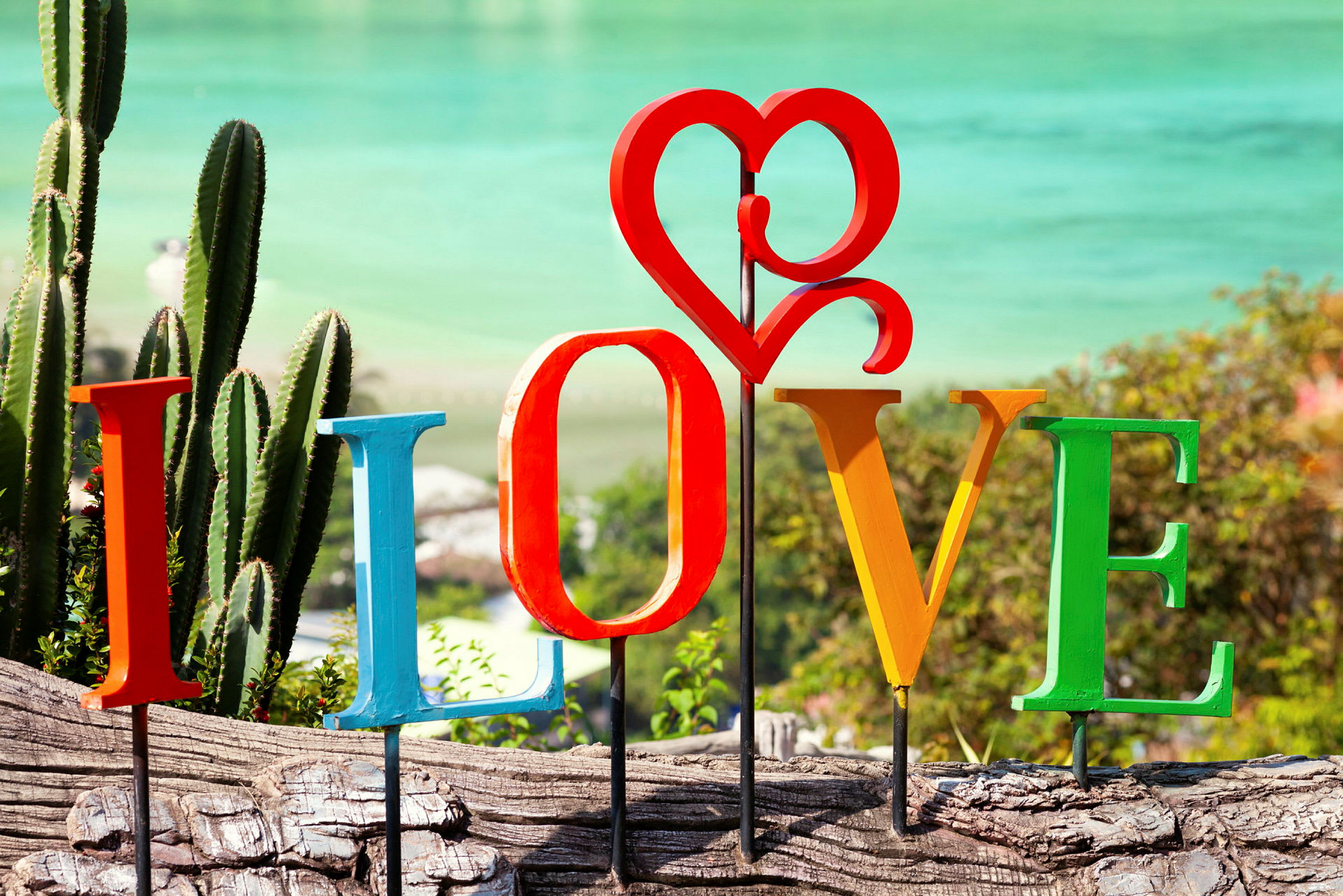 Dekorative bogstaver, der danner ordet 'LOVE' foran blomster, kaktusser og en strand. (AI-genereret tekst)