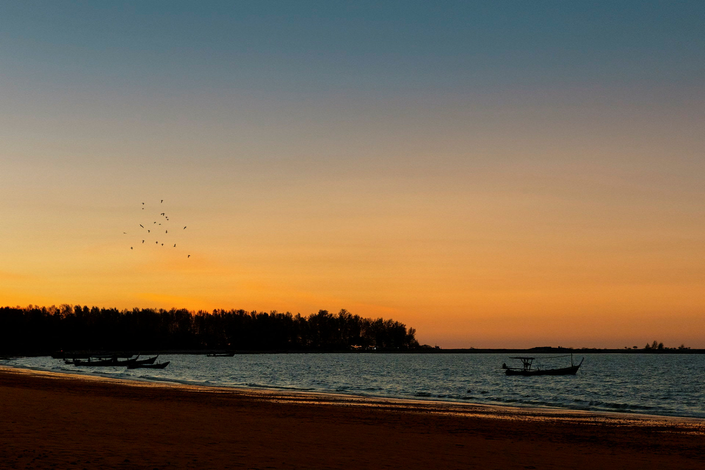 En solnedgang over en strand med både og fugle. (AI-genereret tekst)