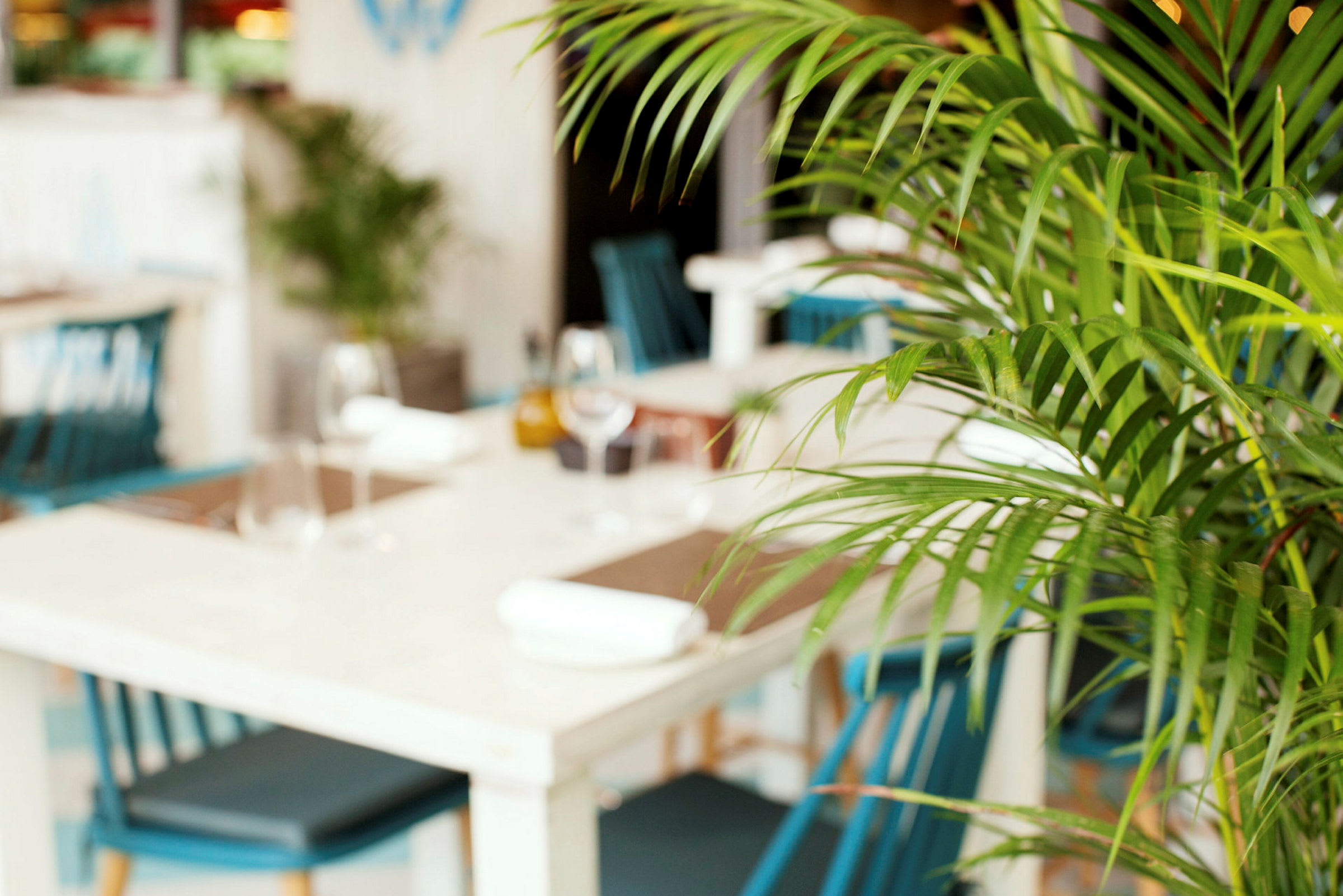 En moderne restaurant med grøn plante i forgrunden og hvide borde med blå stole. (AI-genereret tekst)
