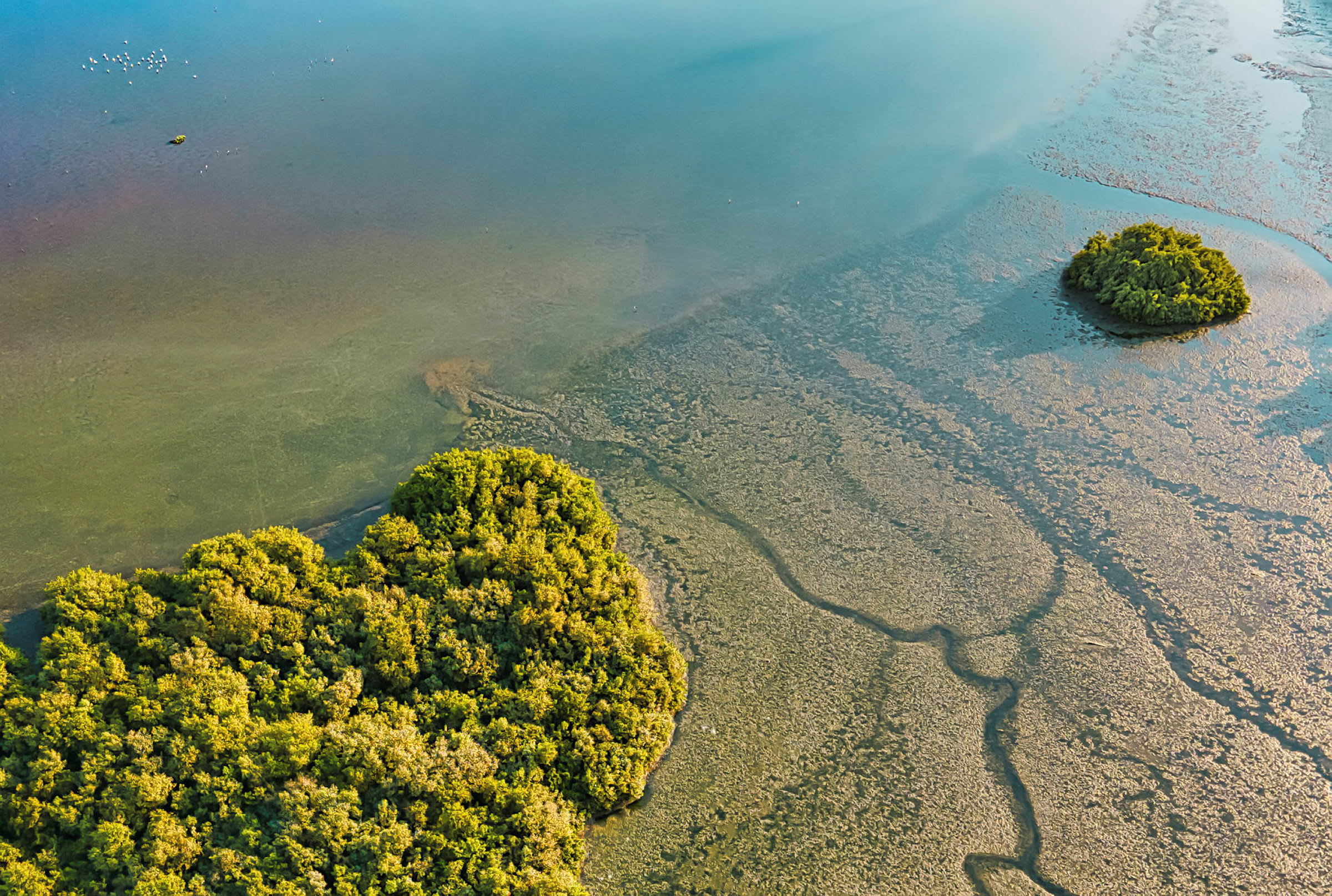 Luftfoto af et kystlandskab med små øer dækket af grøn vegetation omgivet af lavt vand. (AI-genereret tekst)