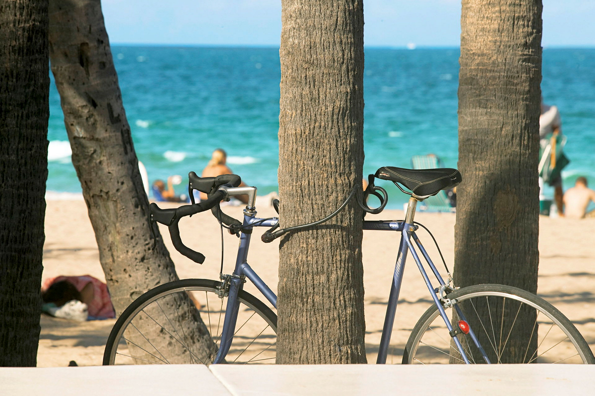 En cykel er lænet op ad et træ ved en sandstrand. I baggrunden ses havet og personer, der opholder sig på stranden. (AI-genereret tekst)