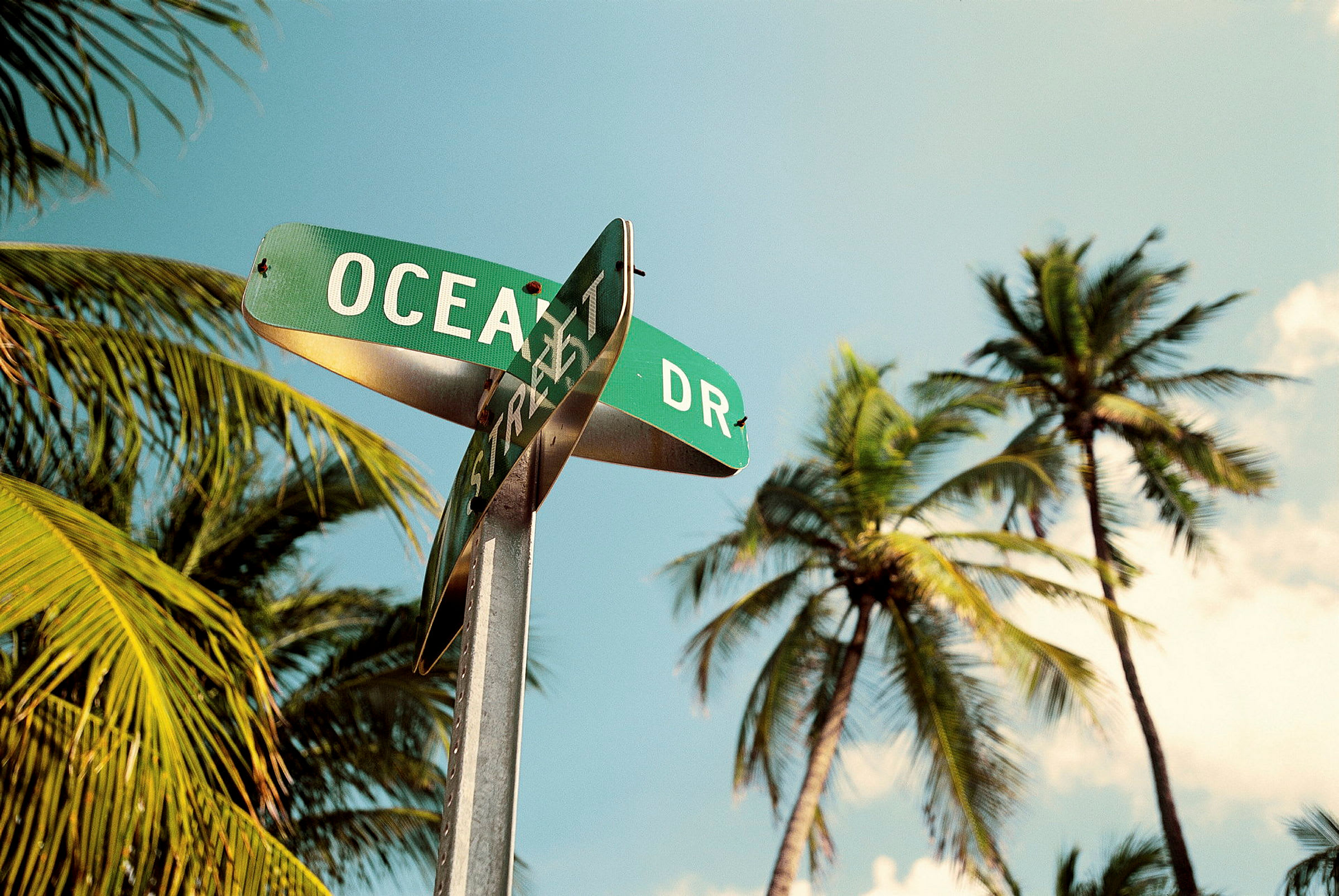 Et grønt vejskilt med teksten 'Ocean Dr.' og 'Street' er monteret på en stolpe. Baggrunden viser høje palmer og en klar himmel. (AI-genereret tekst)