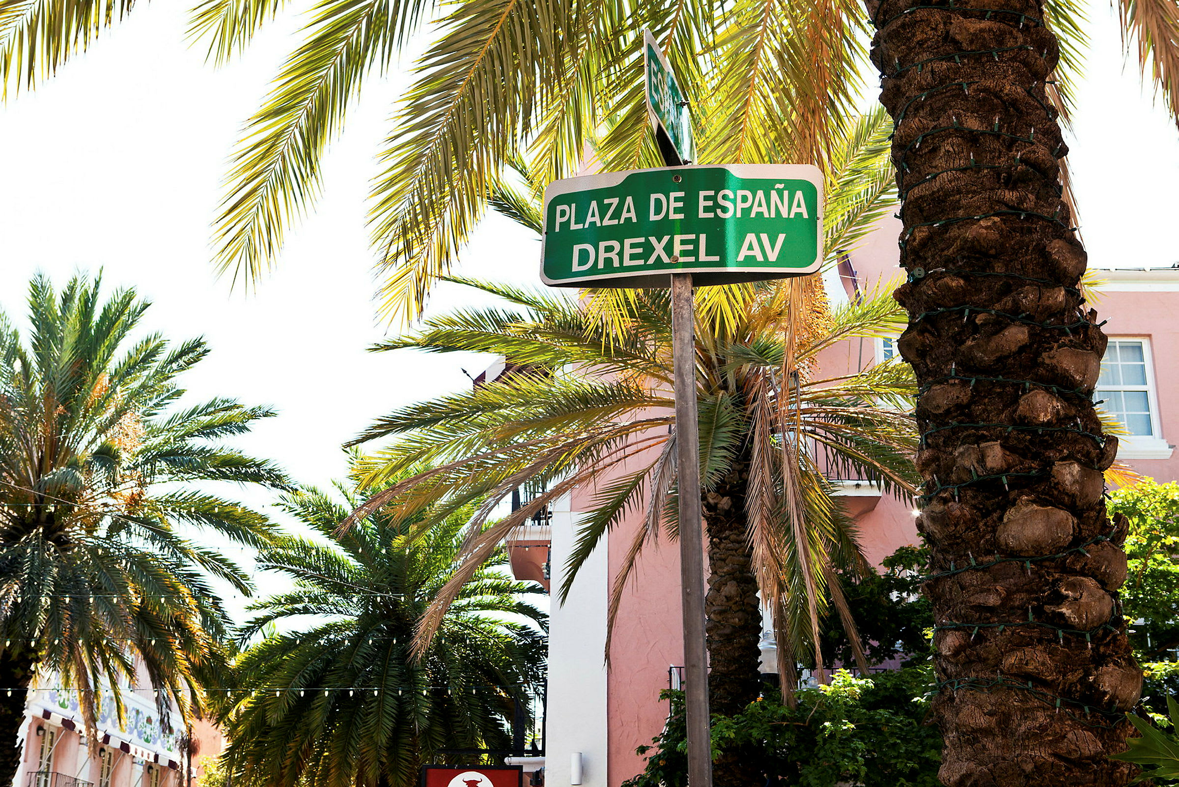 Skilt med teksten 'Plaza de España Drexel Av', omgivet af palmer. (AI-genereret tekst)