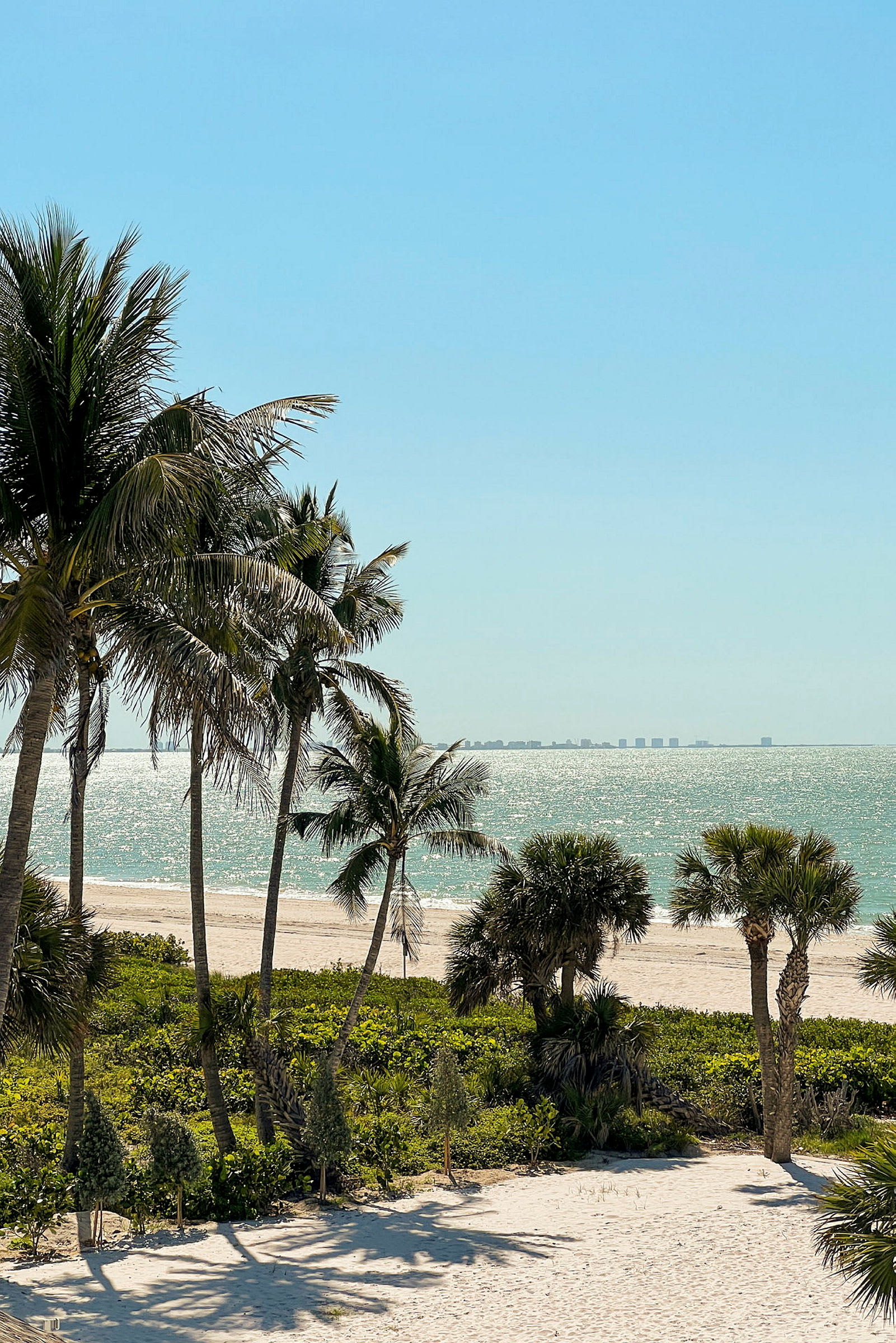 Strand med palmer og glitrende hav i baggrunden. (AI-genereret tekst)
