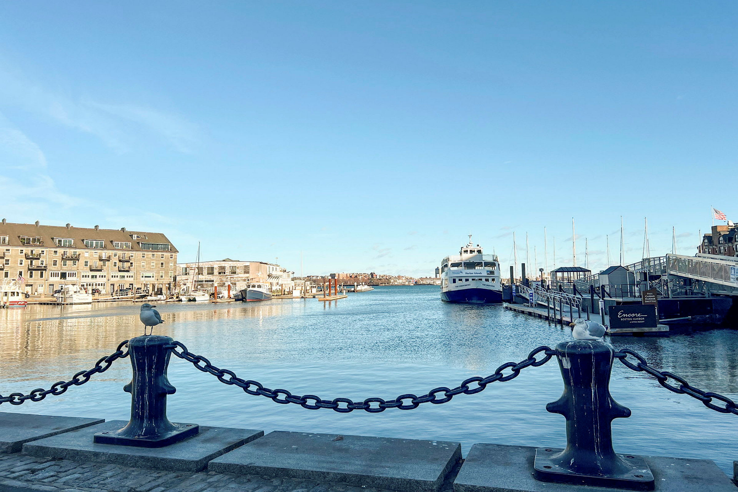Udsigt over en havn med en færge og bygninger i baggrunden samt en kæde og måge i forgrunden. (AI-genereret tekst)