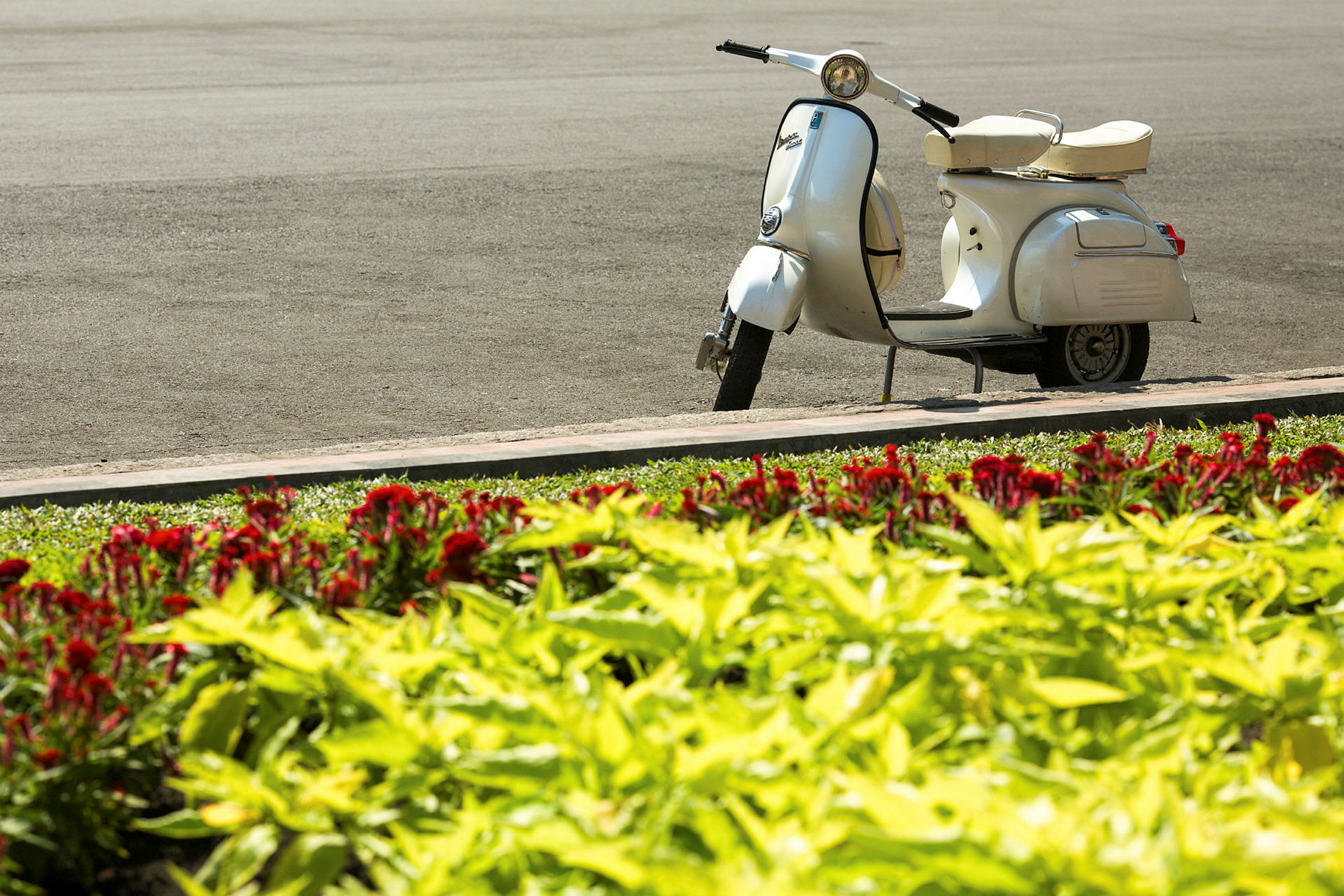 En hvid scooter parkeret ved en vej tæt på et blomsterbed med røde og gule blomster. (AI-genereret tekst)