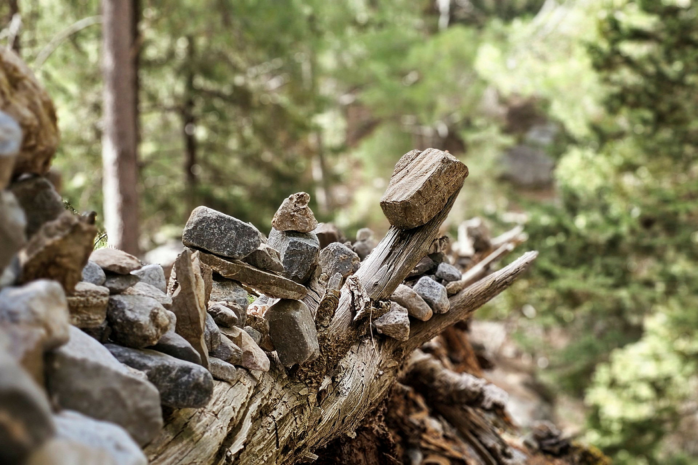 En faldet træstamme med små sten placeret ovenpå, omgivet af skov. (AI-genereret tekst)