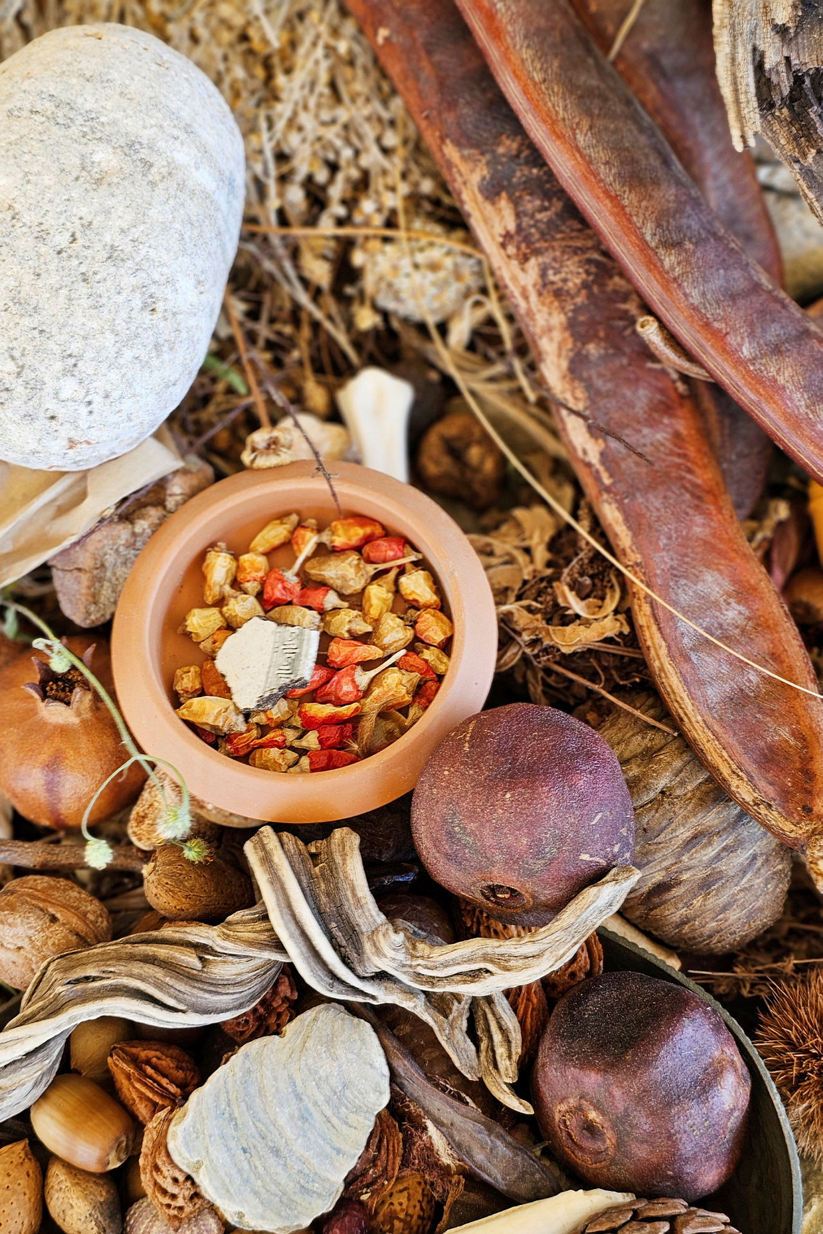 En skål fyldt med tørrede planter og frugtskiver, omgivet af forskellige naturmaterialer. (AI-genereret tekst)