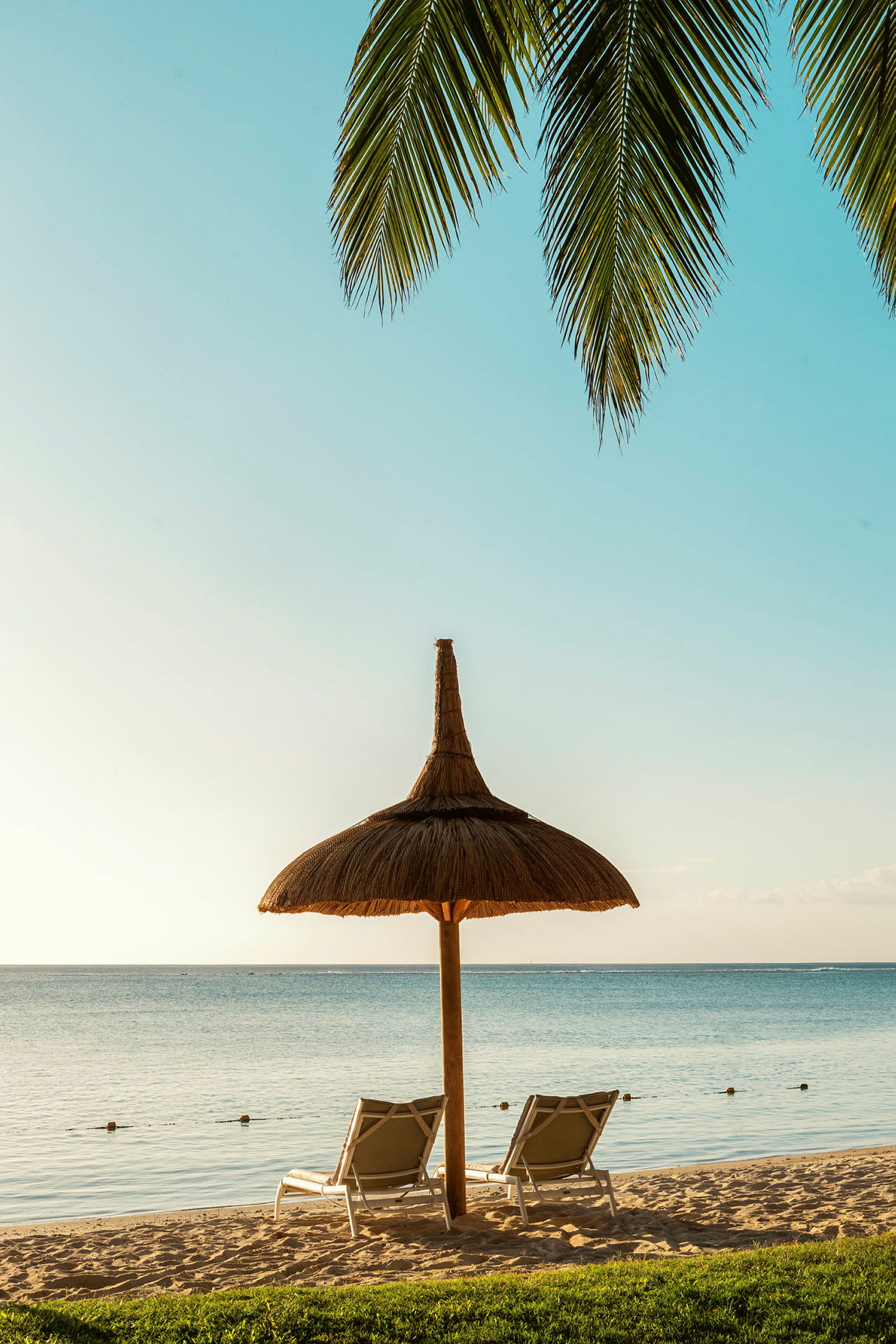 Billede af to liggestole under en strandparasol ved havet, med palmeblade i forgrunden. (AI-genereret tekst)