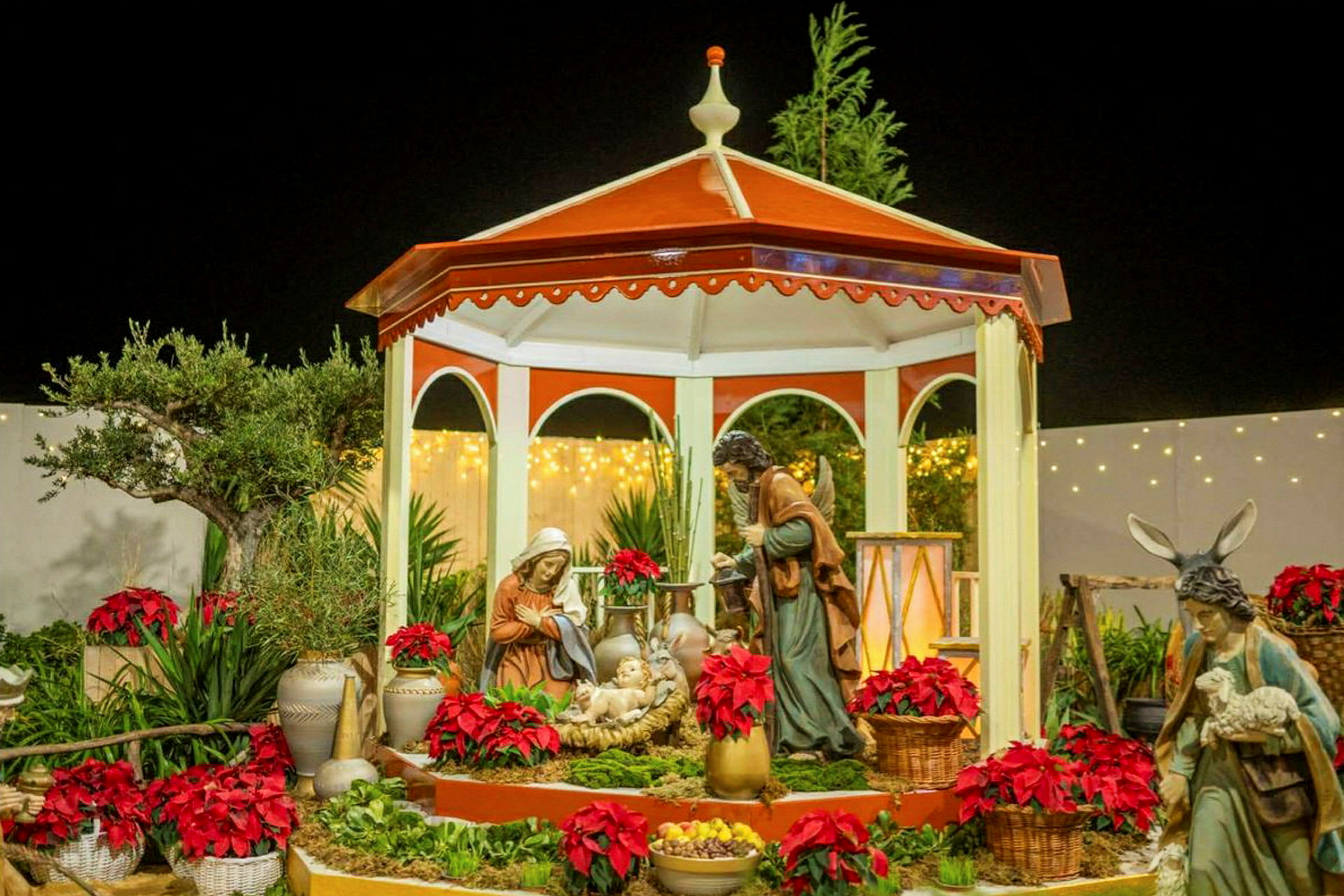 En julekrybbe med figurer af Josef, Maria og Jesusbarnet under en rød og hvid pavillon, omgivet af julestjerner og grønne planter. (AI-genereret tekst)