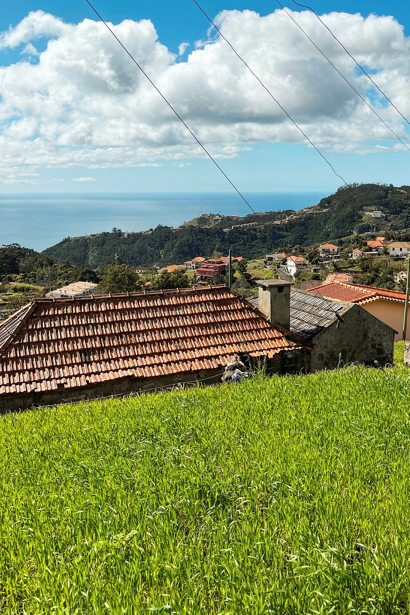 Udsigt over huse med røde tage omgivet af frodig vegetation, med havet og bjerge i baggrunden under en blå himmel. (AI-genereret tekst)