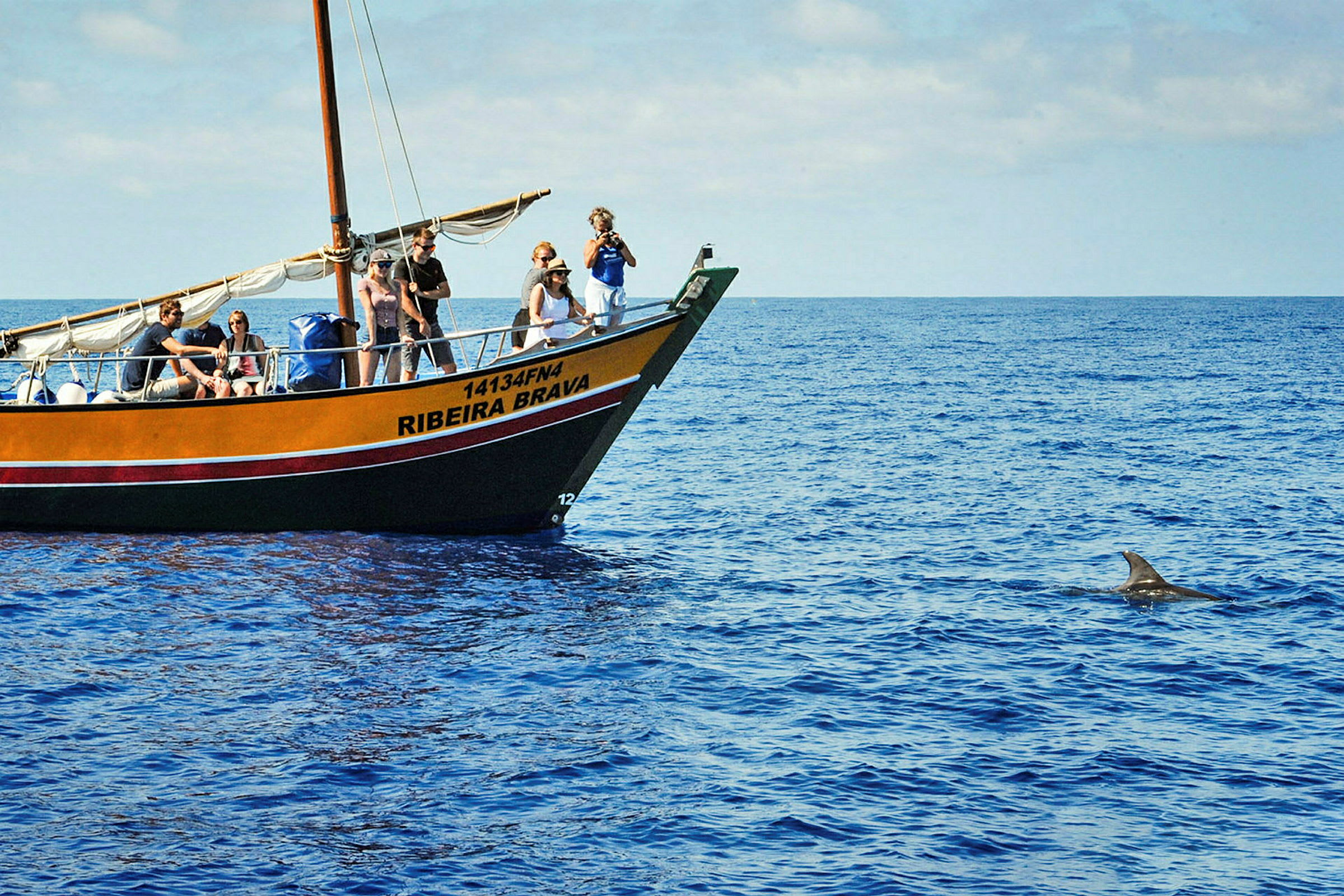 En båd med passagerer tæt på en delfin i havet. (AI-genereret tekst)
