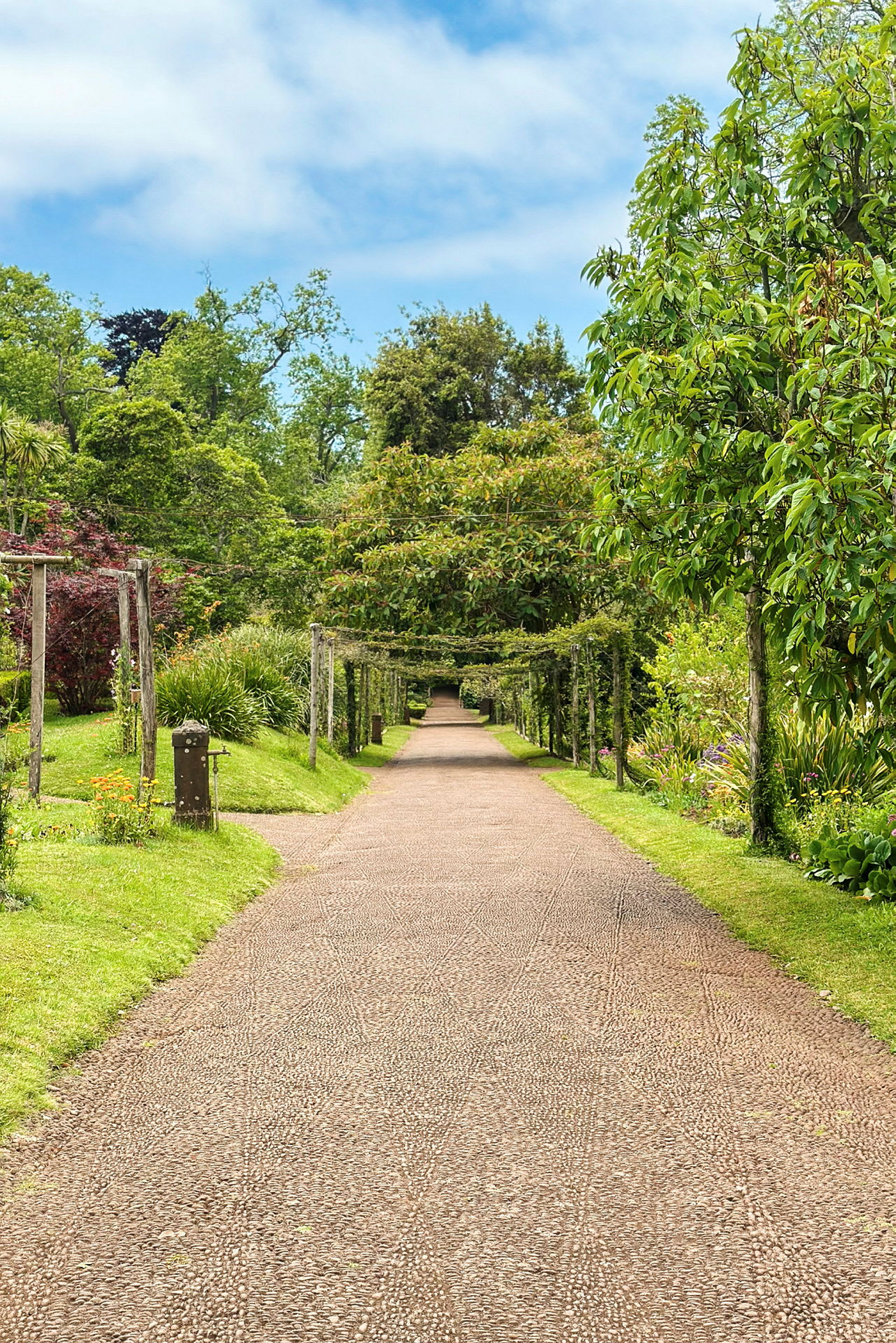 En grusvej, der løber gennem en frodig have omgivet af grønne områder og blomstrende planter. (AI-genereret tekst)
